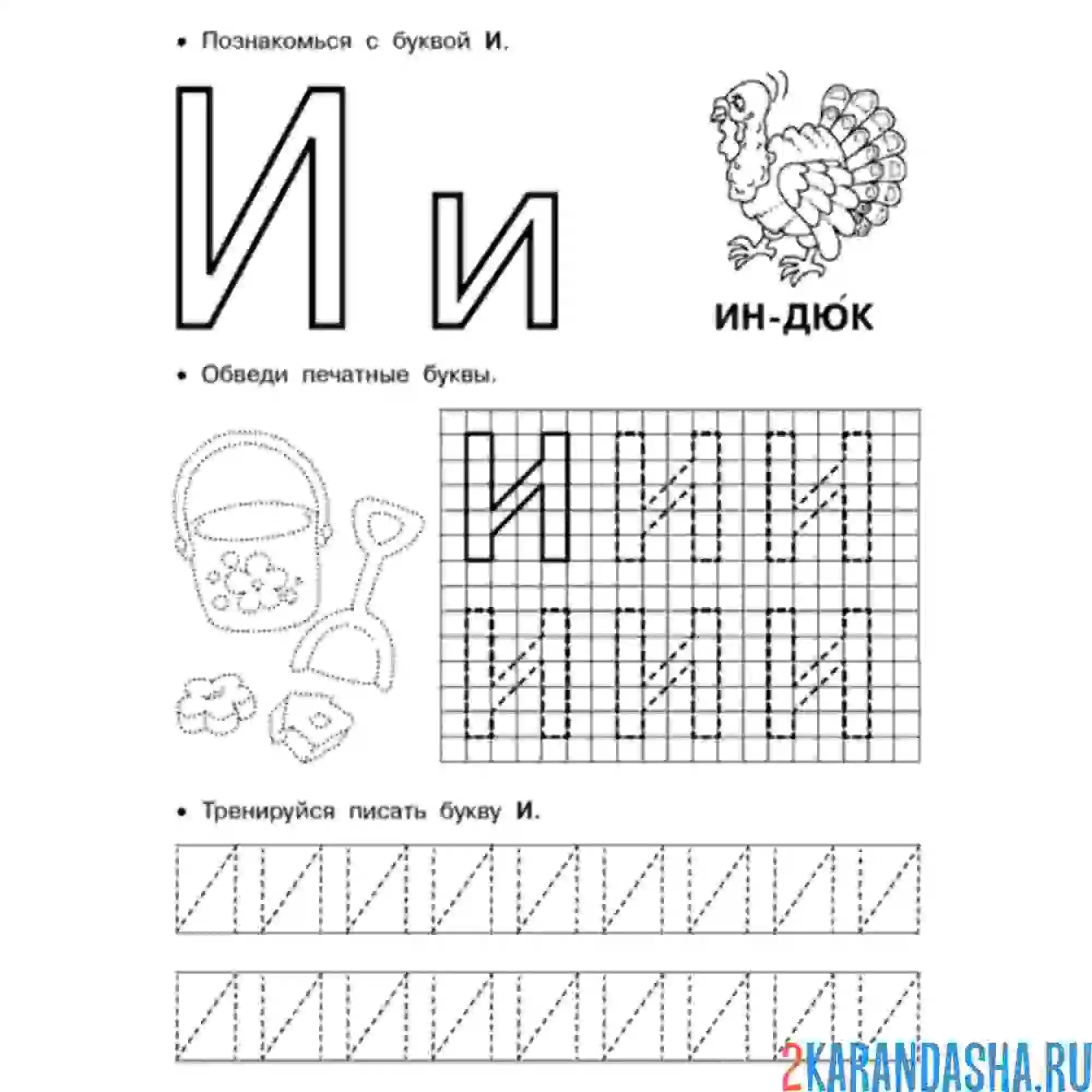 Раскраска обведи букву и пропись