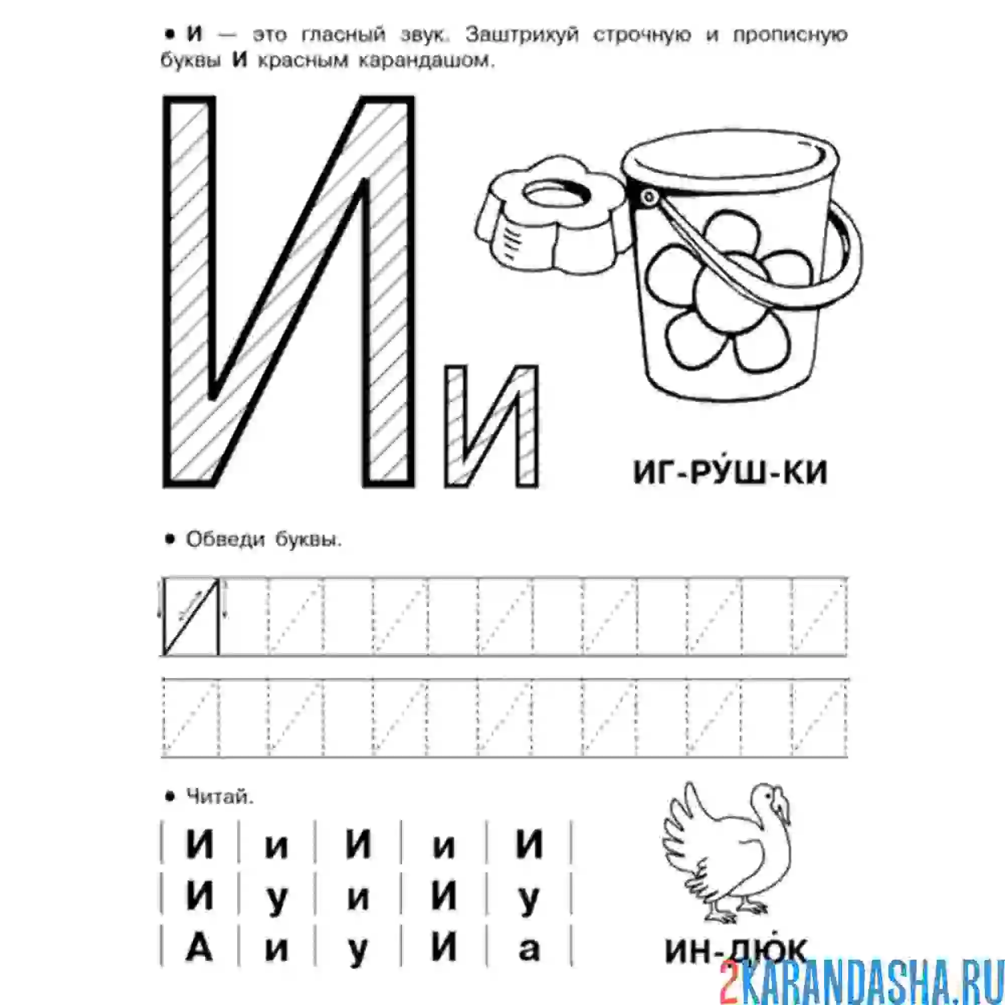 Раскраска пропись буква и печатная
