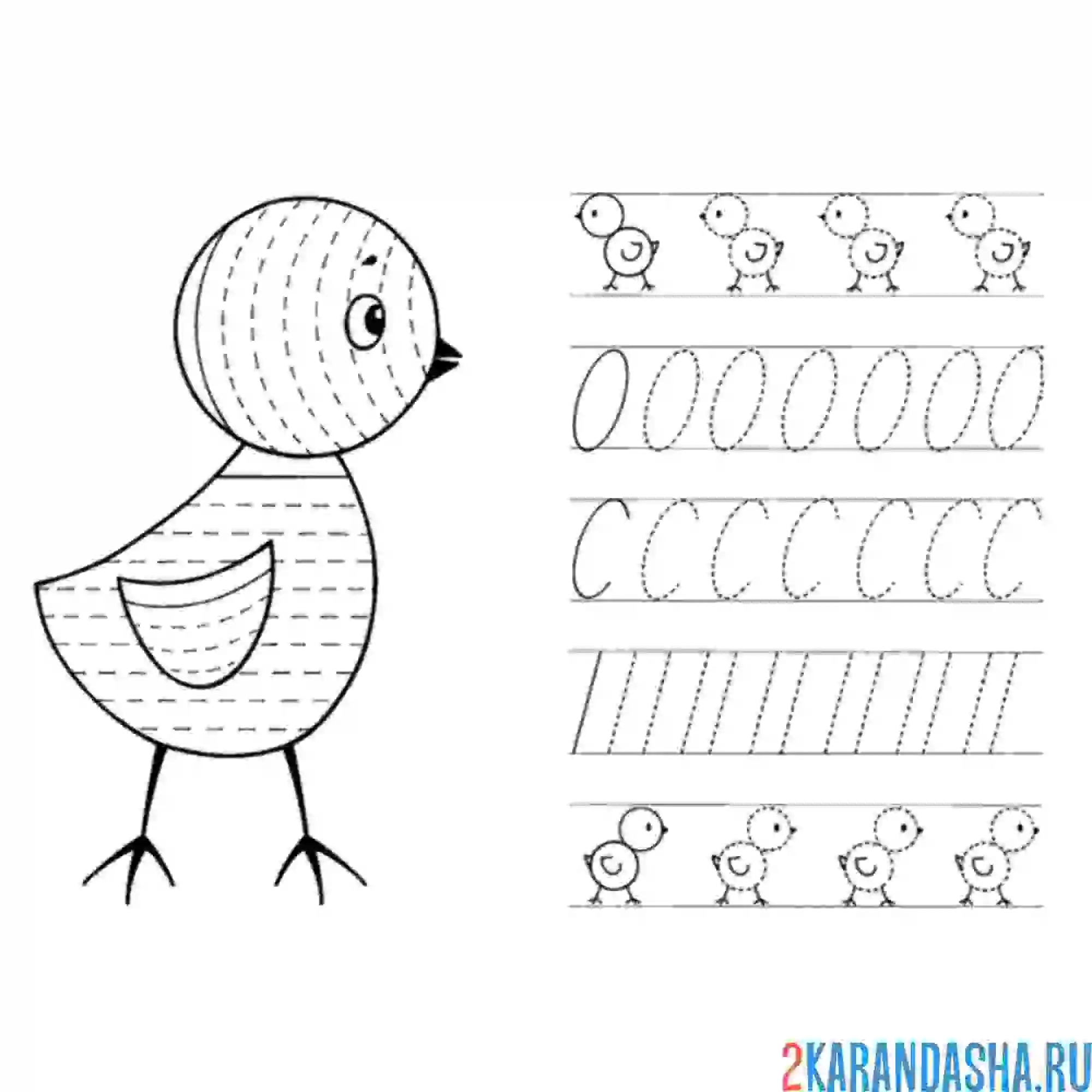 Раскраска пропись кружочки для малышей