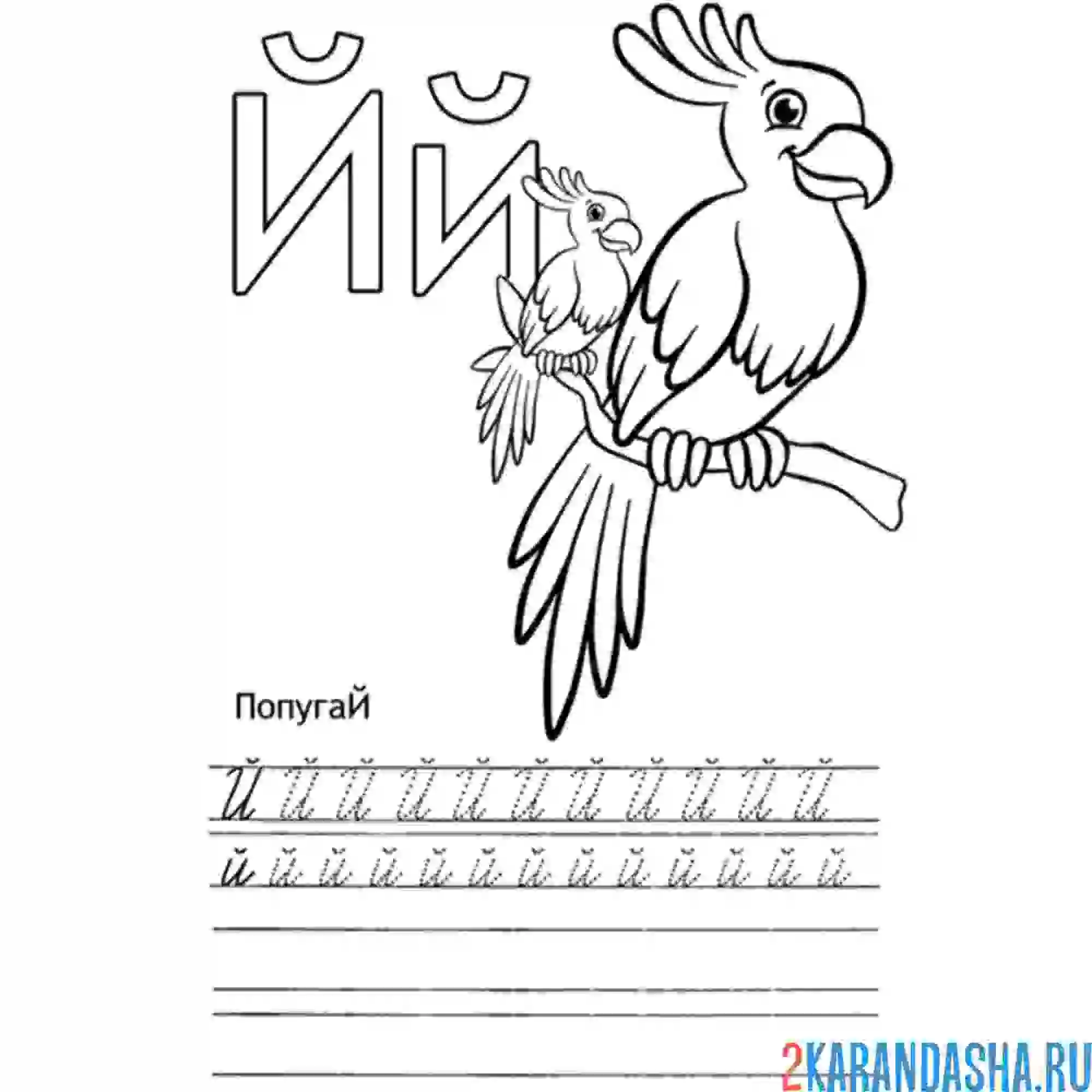 Раскраска напиши строчную и заглавную букву й