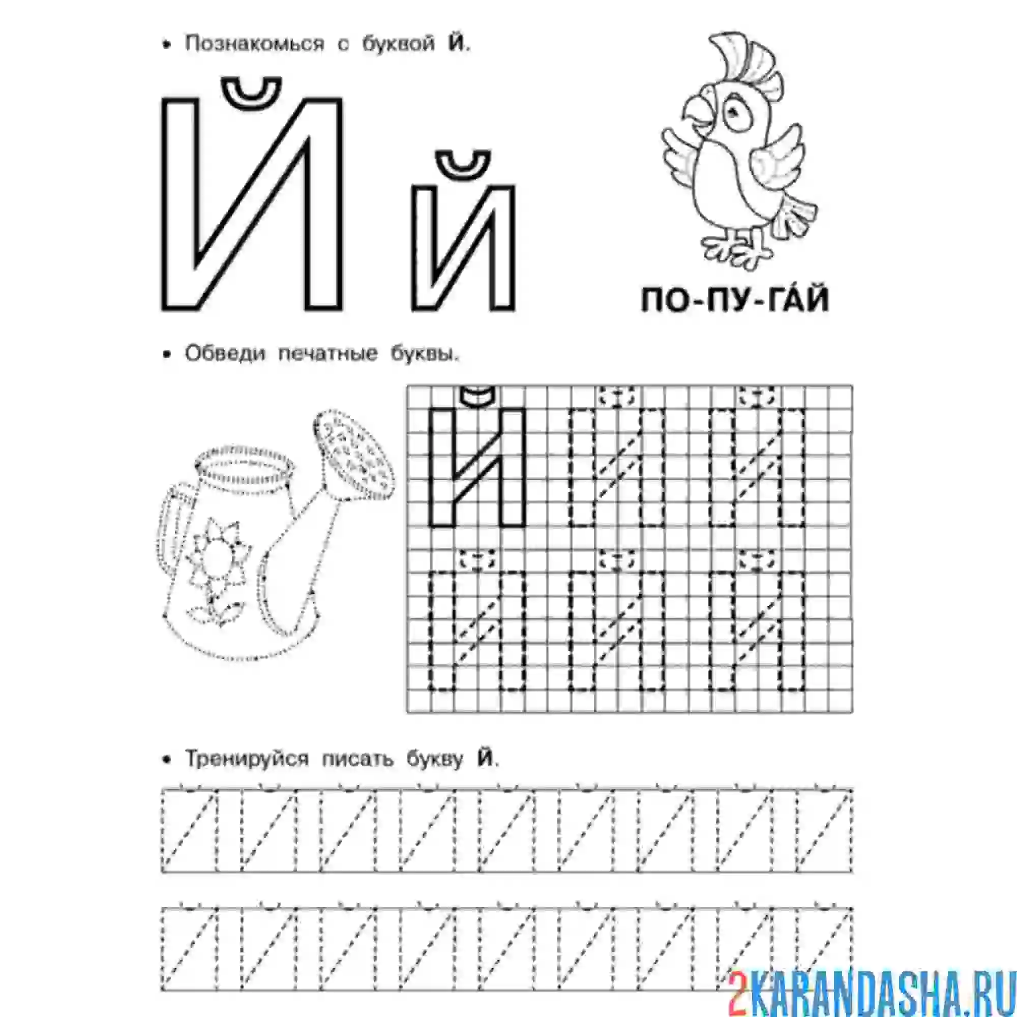 Раскраска напиши букву й