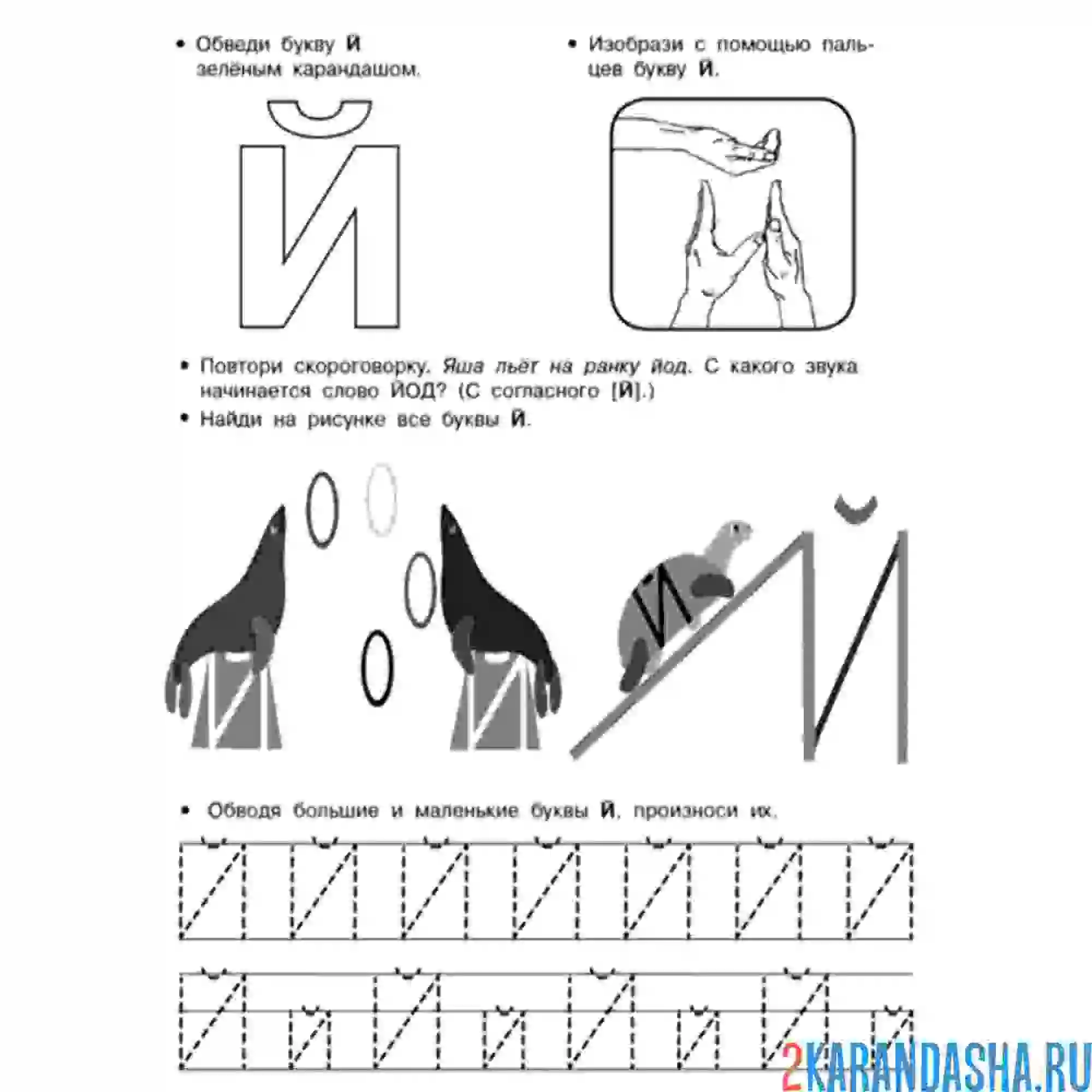 Раскраска пропись буква й