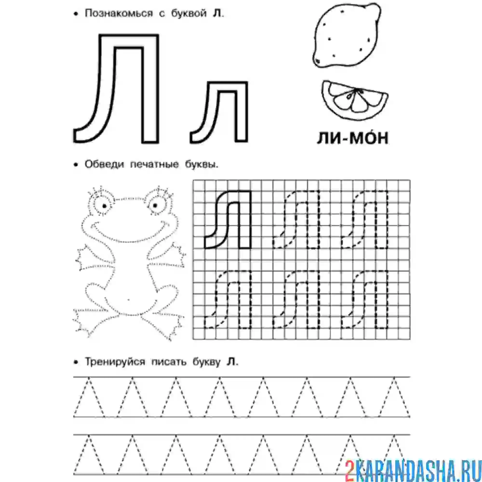 Раскраска пунктирная буква л пропись