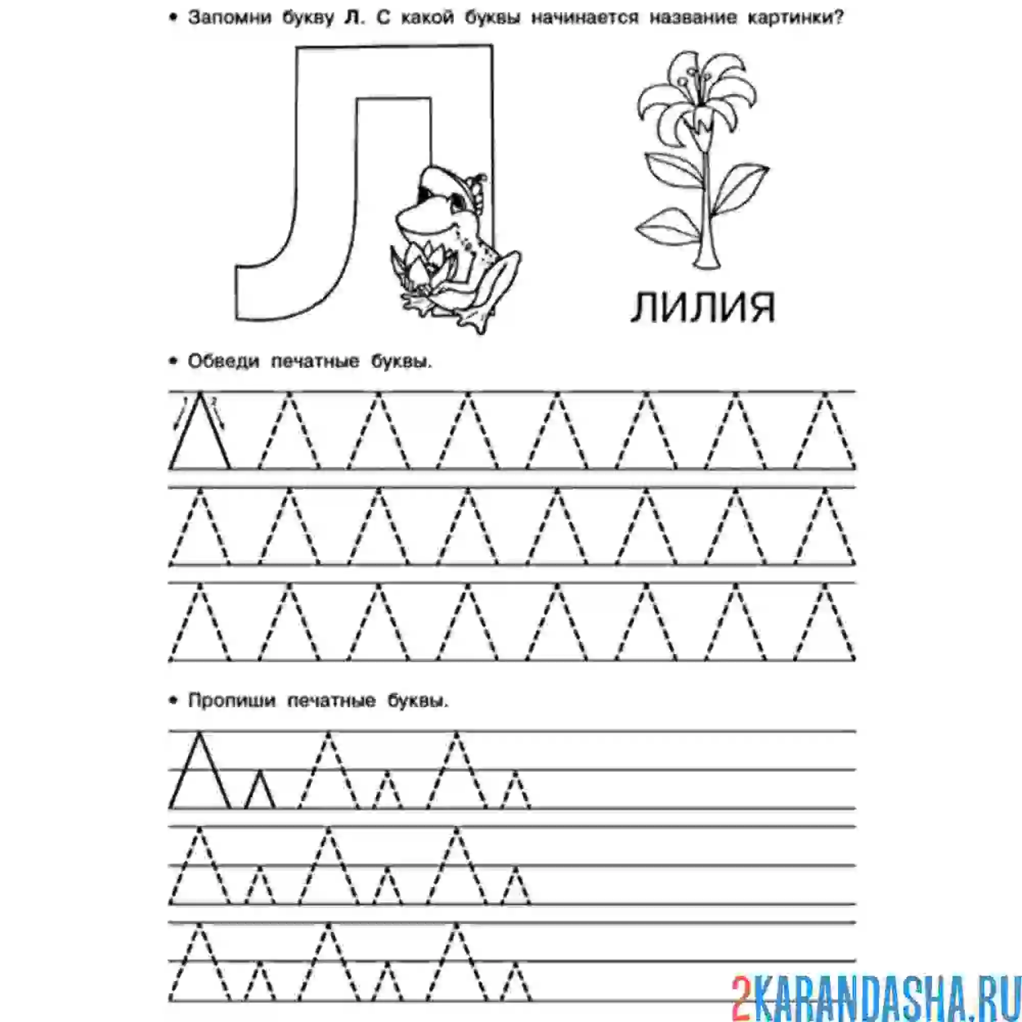 Раскраска заглавная и строчная буква л печатная