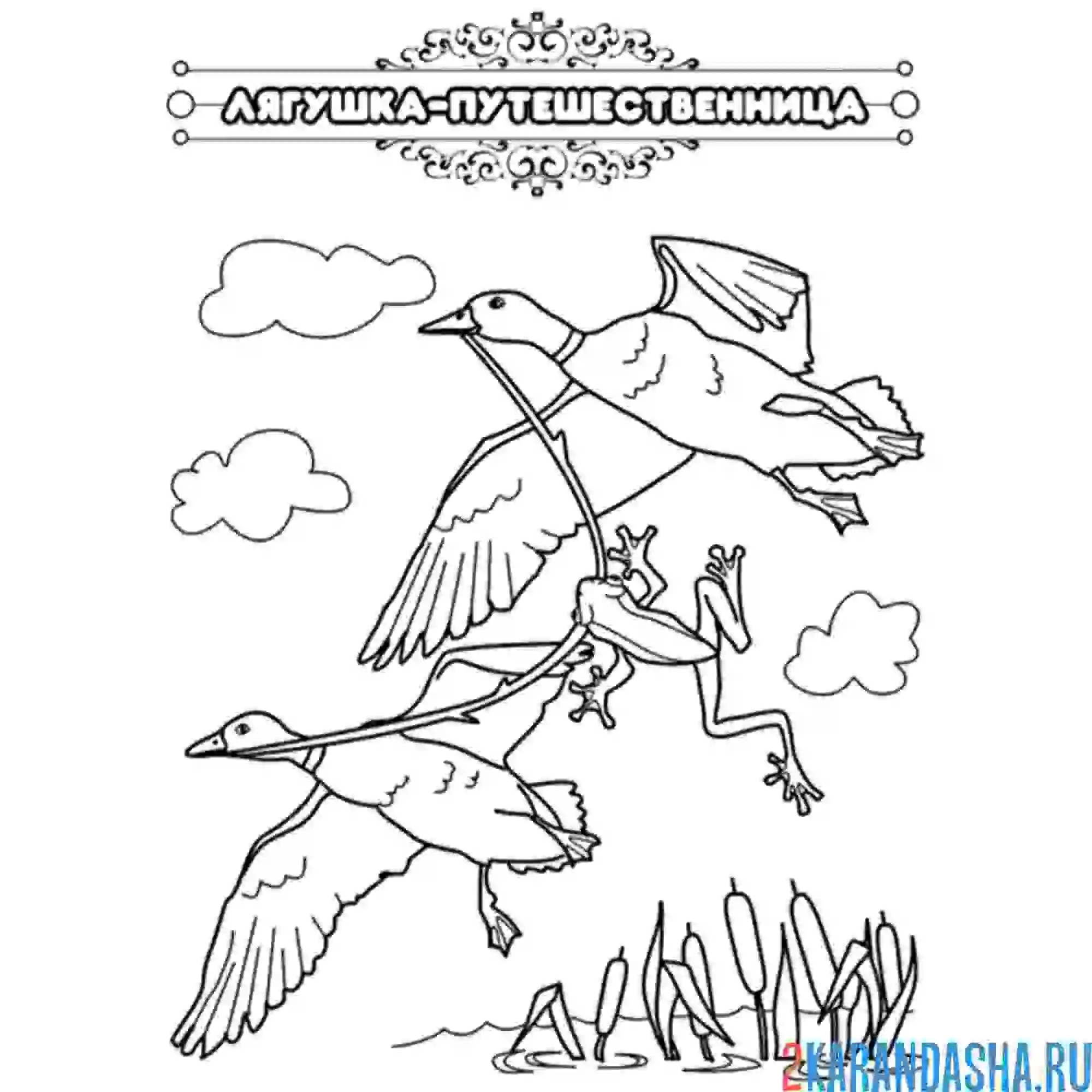 Раскраска сказка лягушка-путешественница