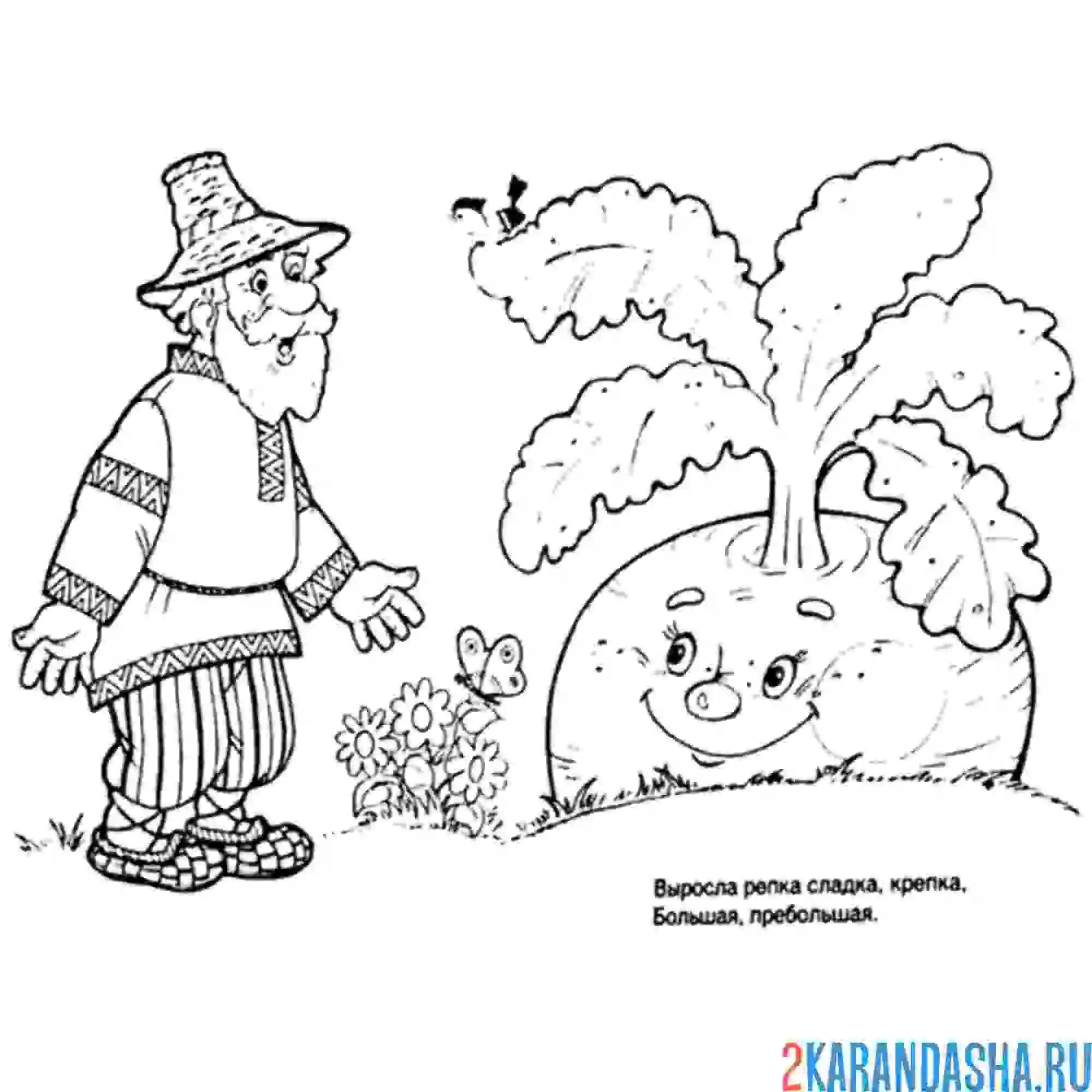 Раскраска удивился дед репке