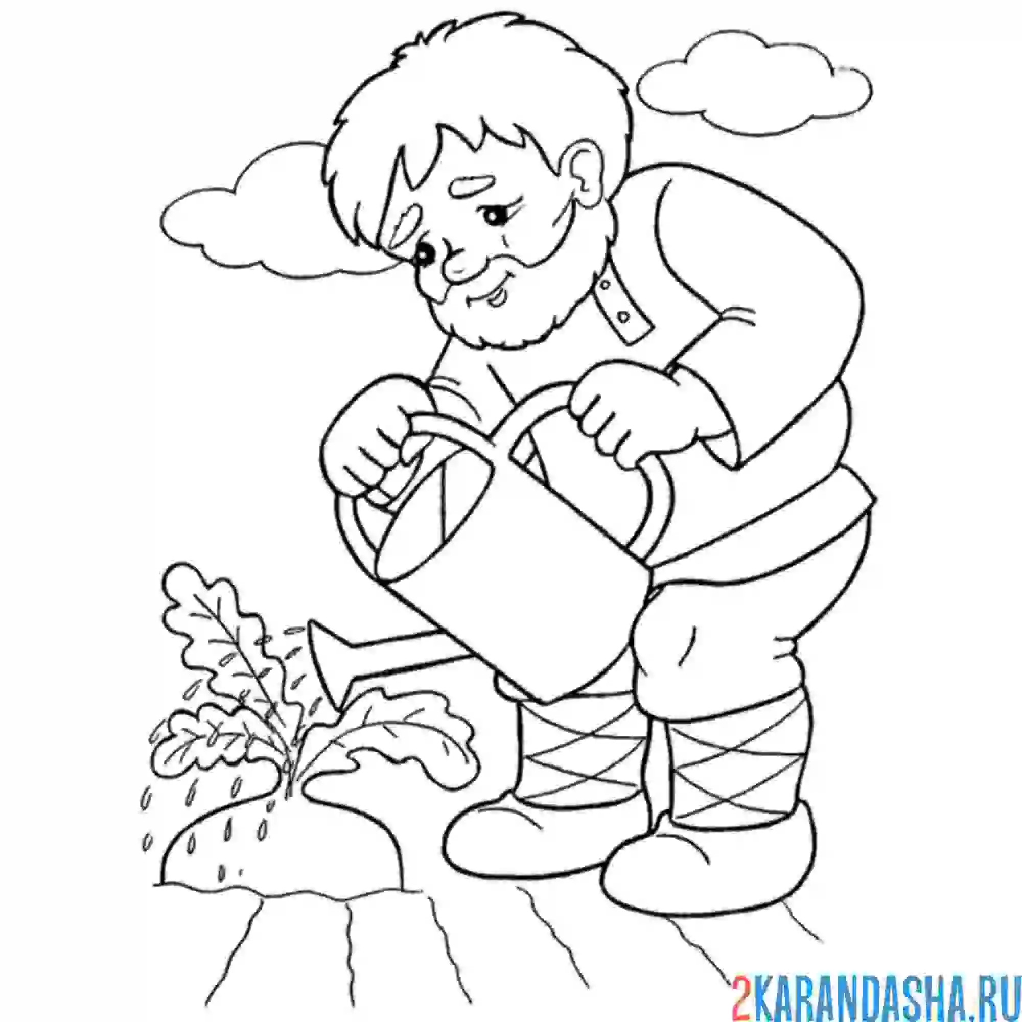 Раскраска поливает репку