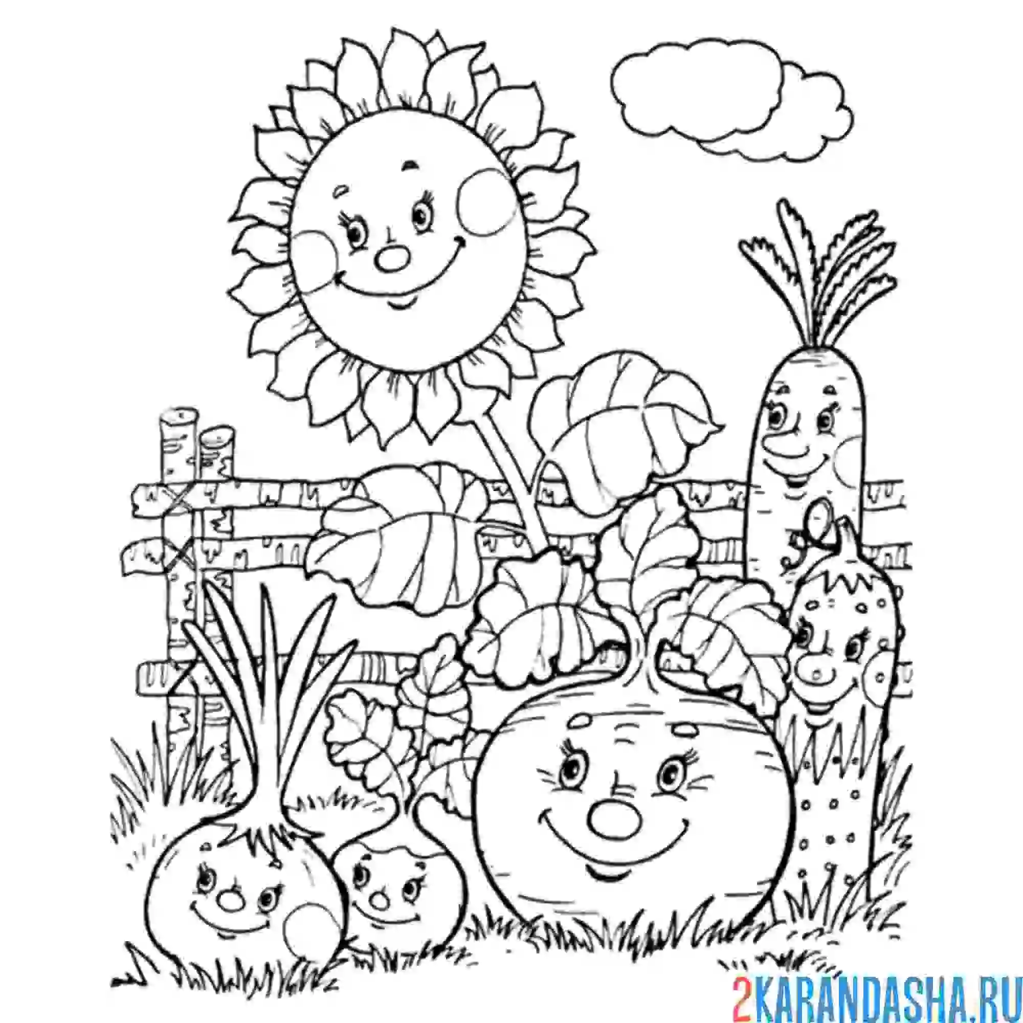 Раскраска другие овощи в огороде