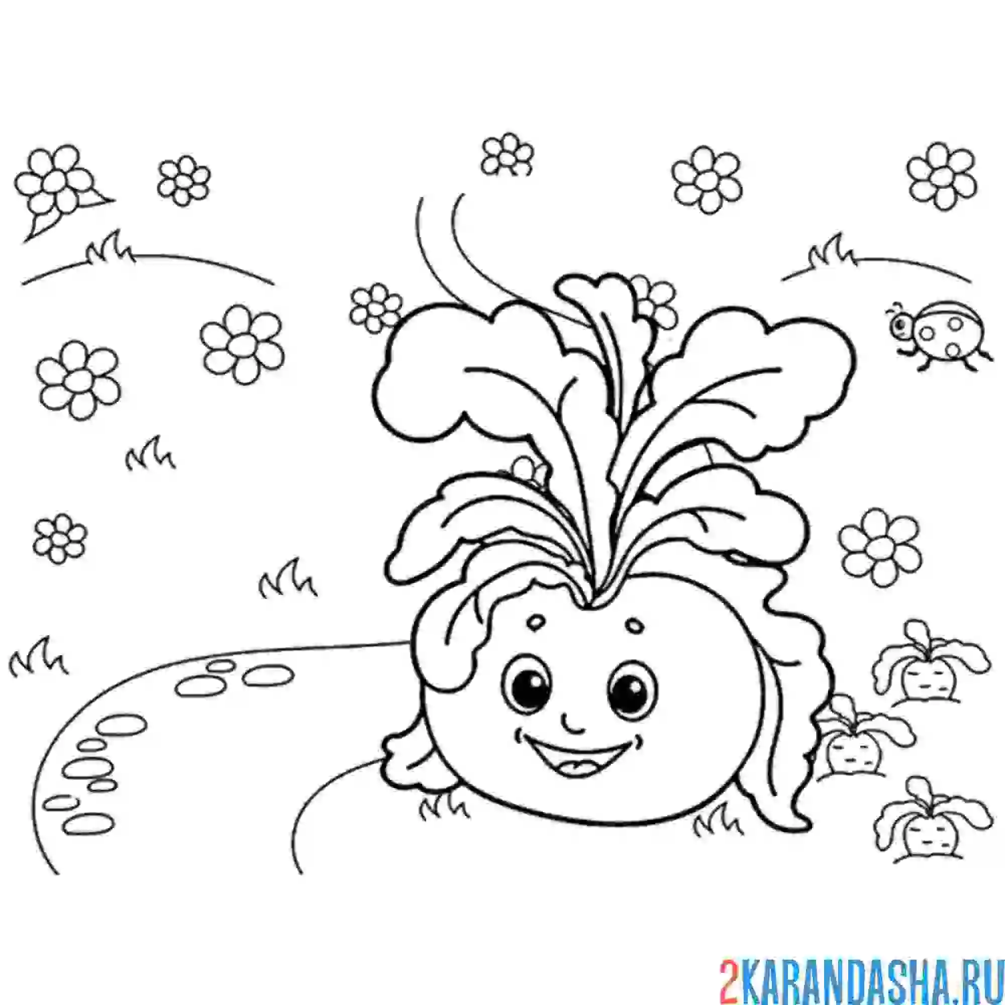 Раскраска репка выросла