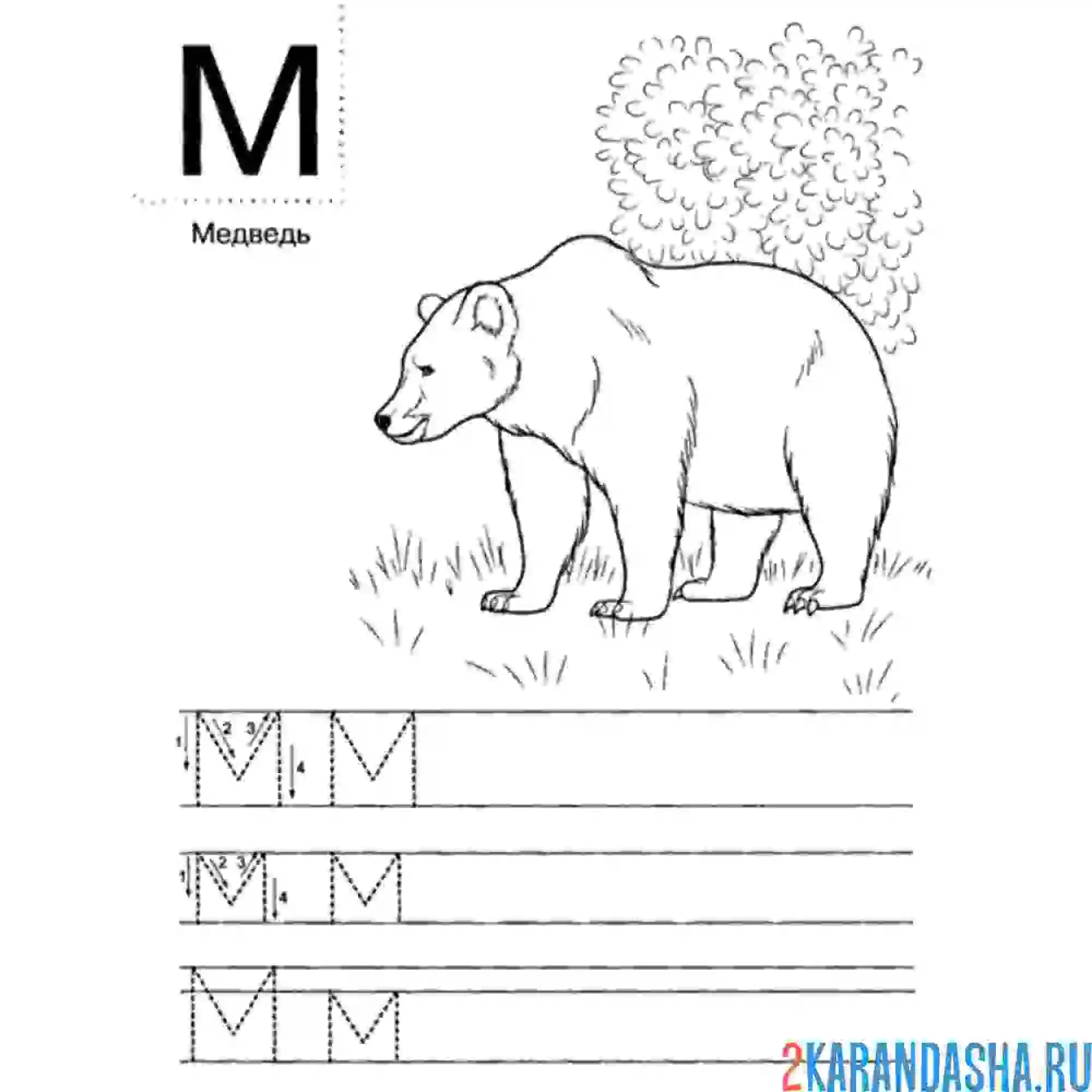 Раскраска пропись буква м обведи сам