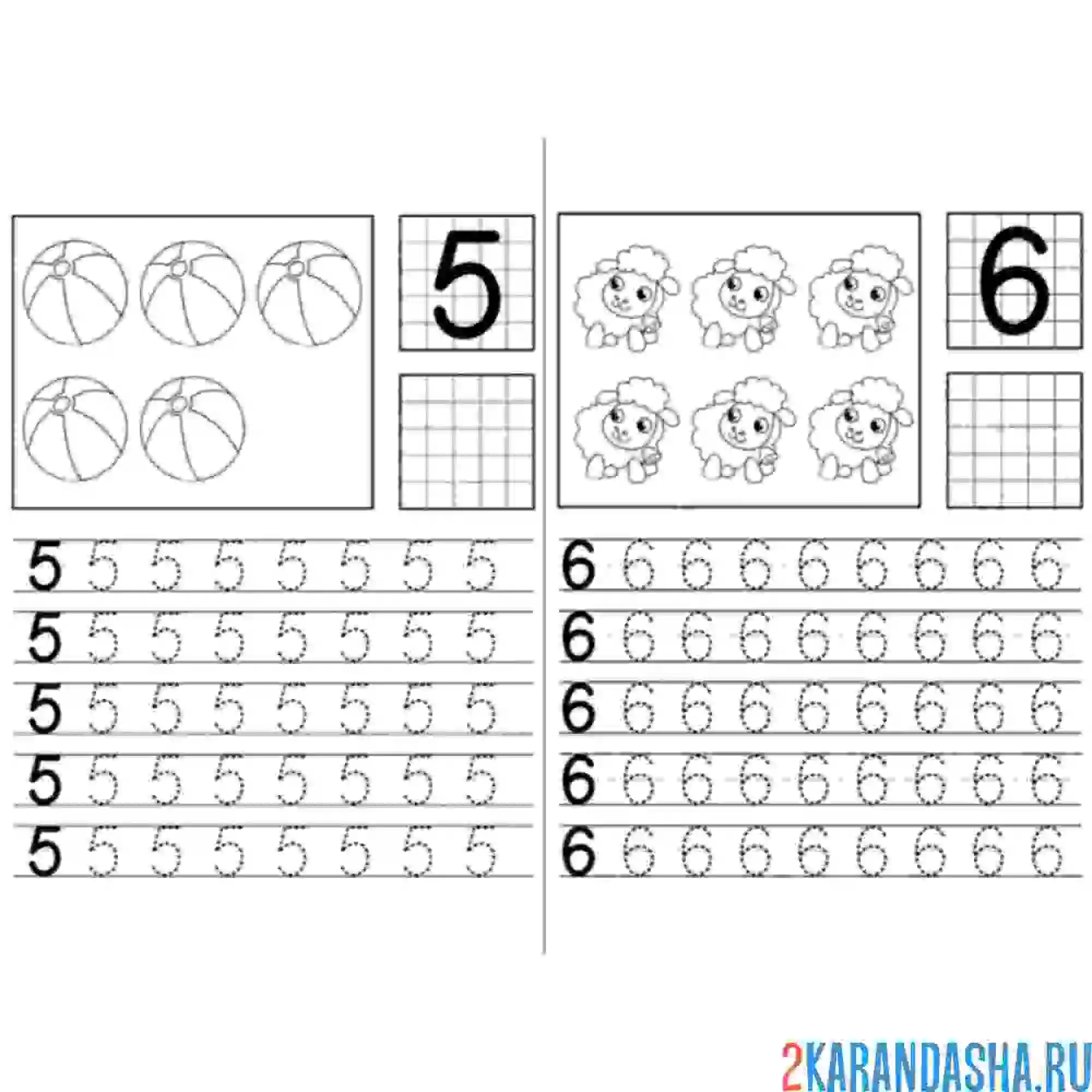 Раскраска прописи цифры 5 и 6