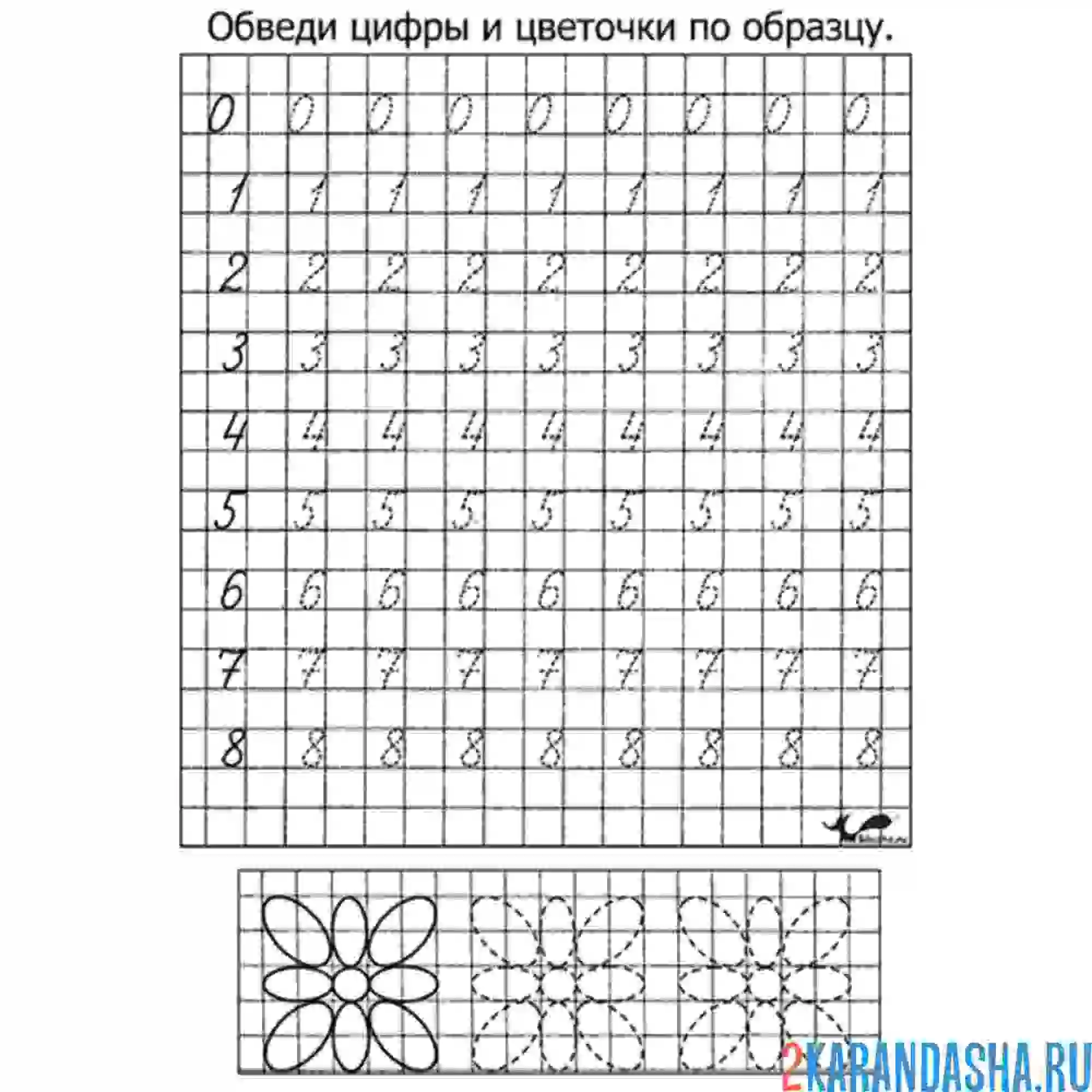 Раскраска прописи цифры 0-8