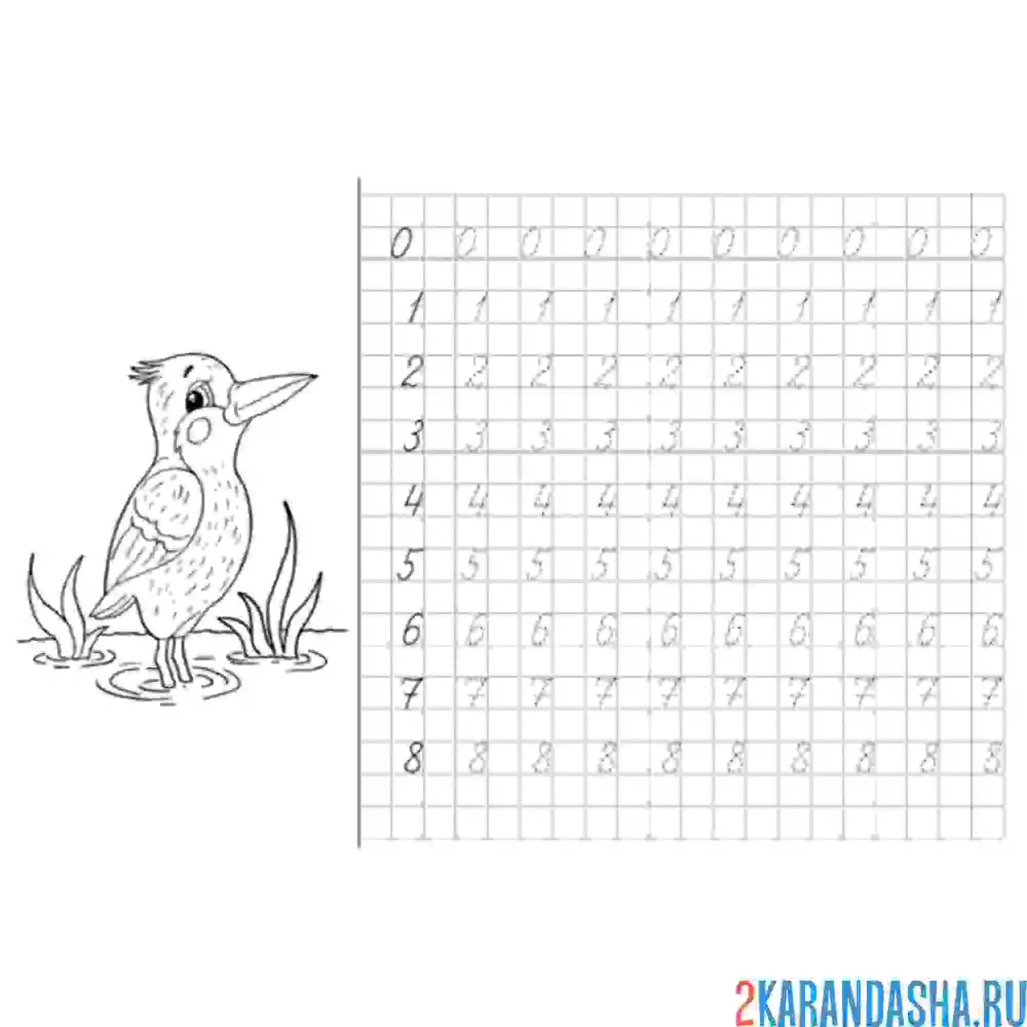 Раскраска прописи цифры от 0 до 8