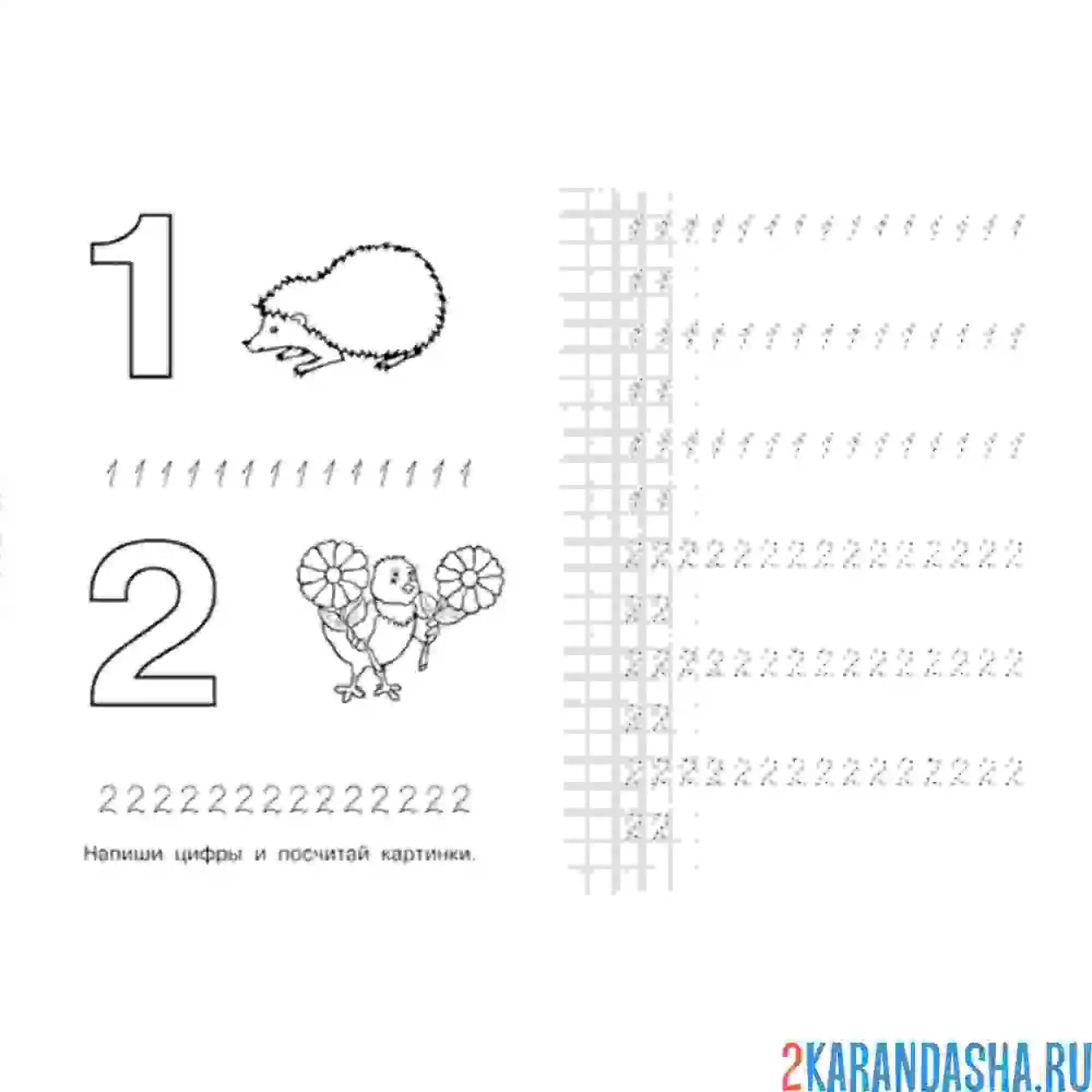 Раскраска пропись цифра 1 и цифра 2 в клетку