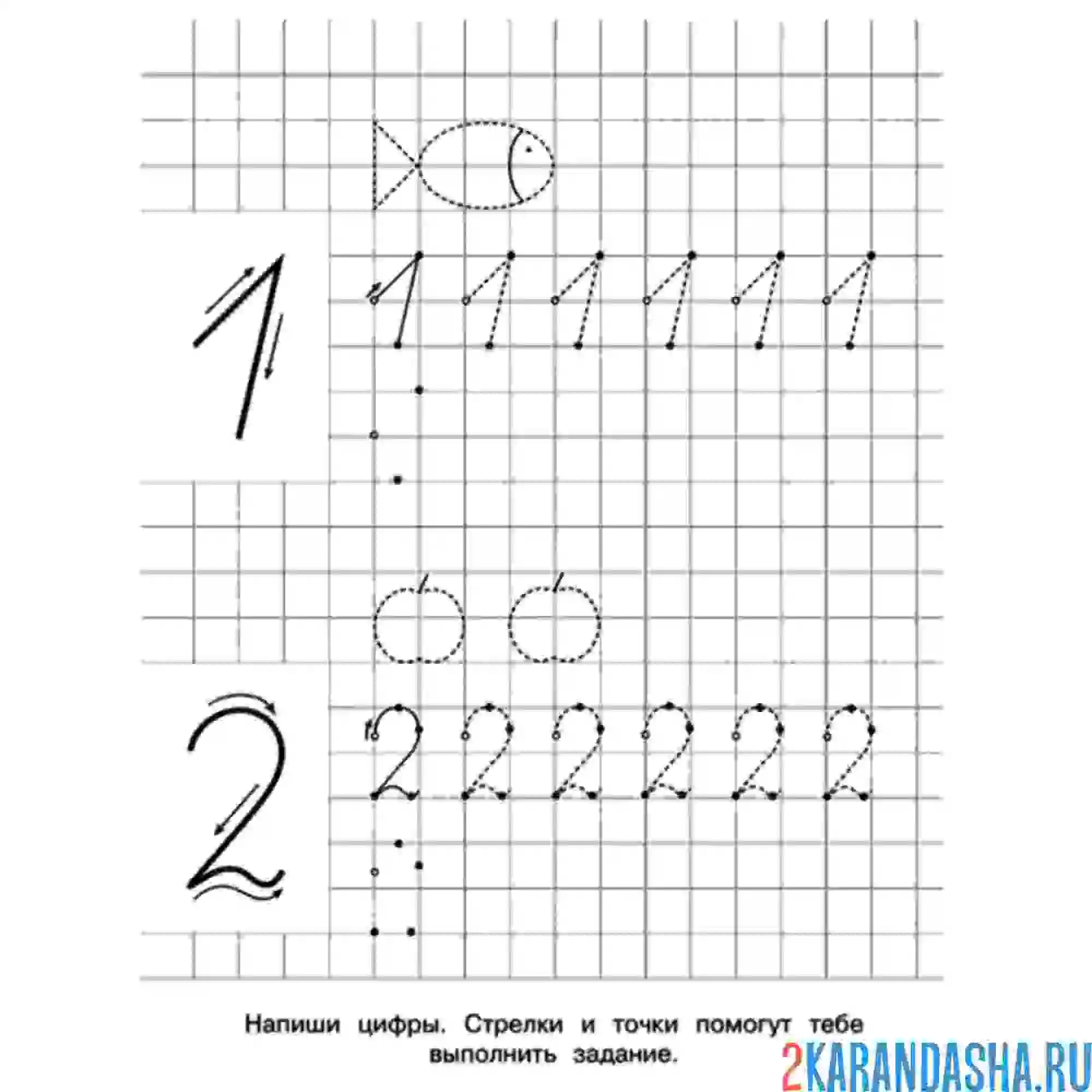 Раскраска пропись в клетку 1 2