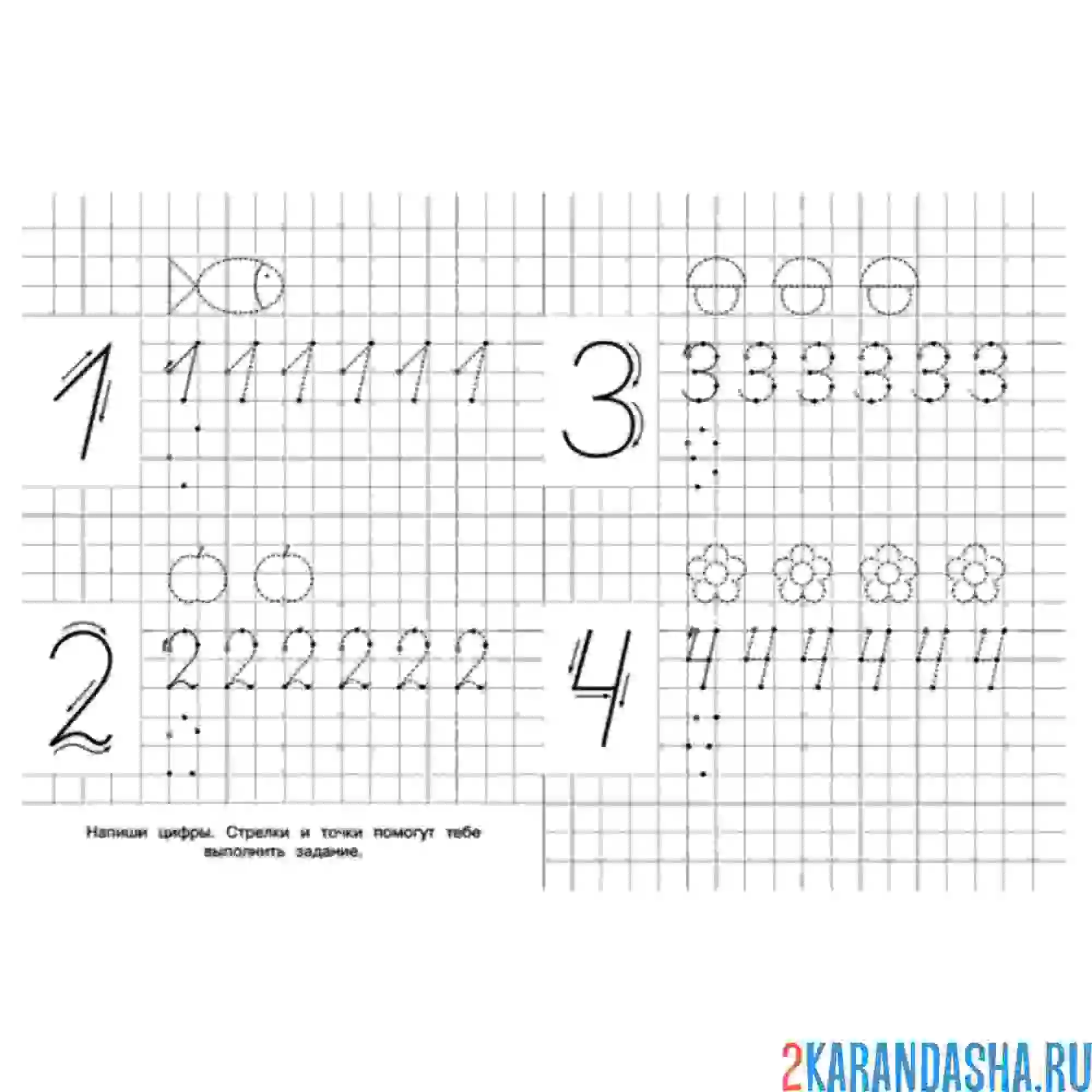 Раскраска пропись цифры 1 2 3 4
