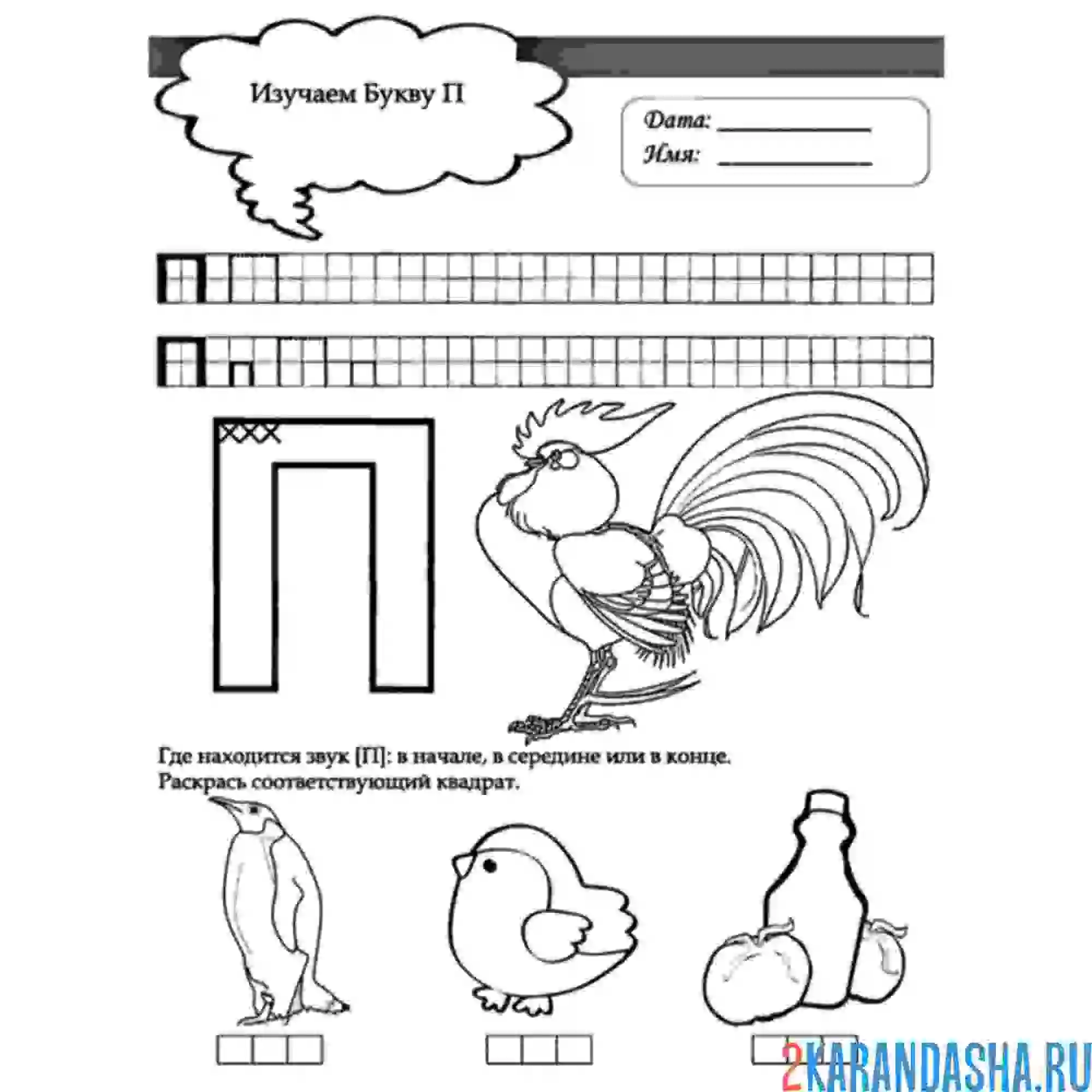 Раскраска пропись буква п рисунок петух