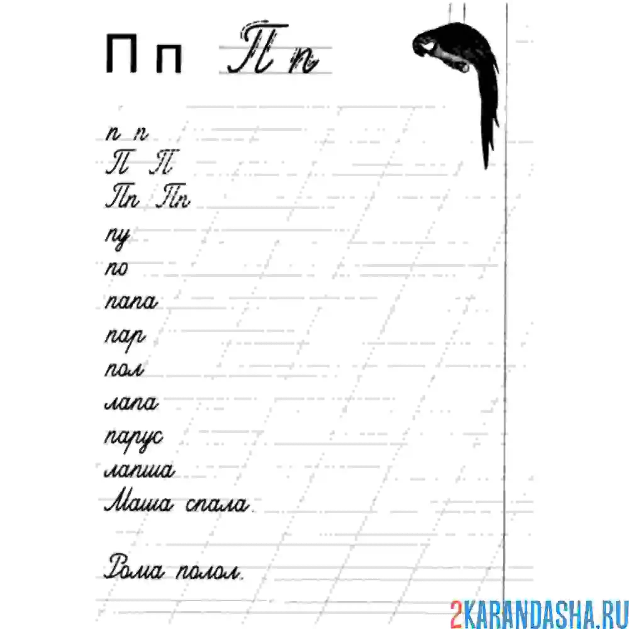 Раскраска буква п слова в прописи