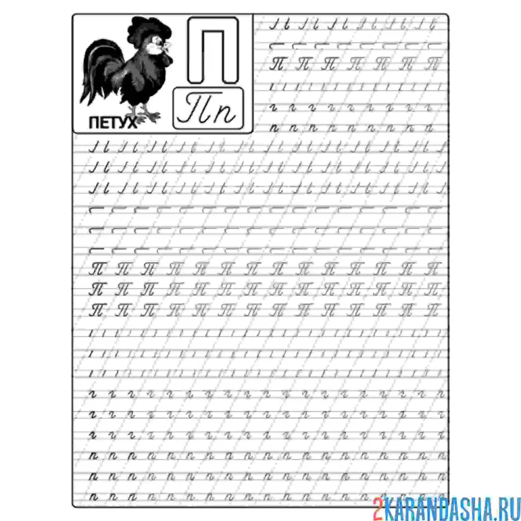 Раскраска пропись буква п прописные строчные и заглавные