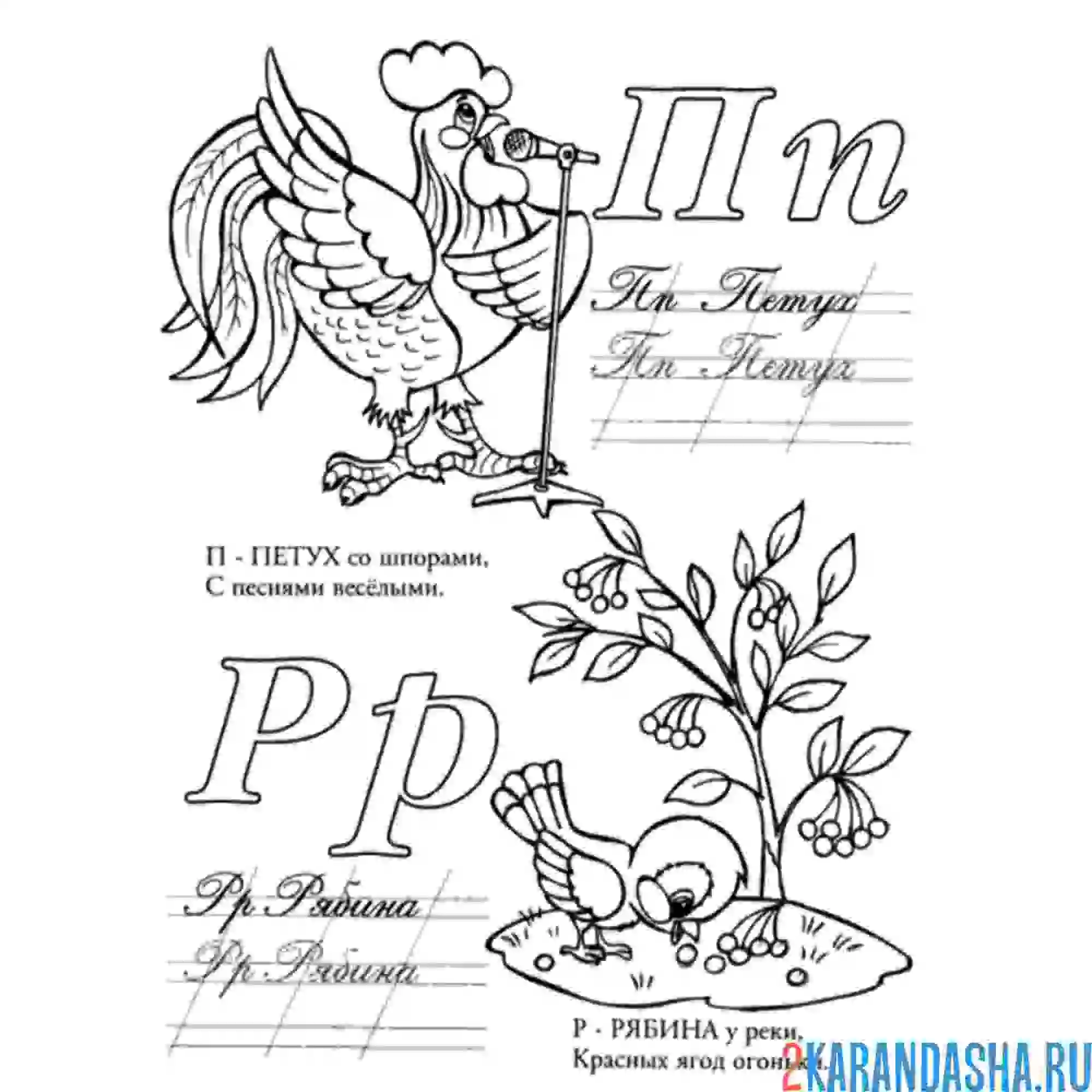 Раскраска прописная буква п р