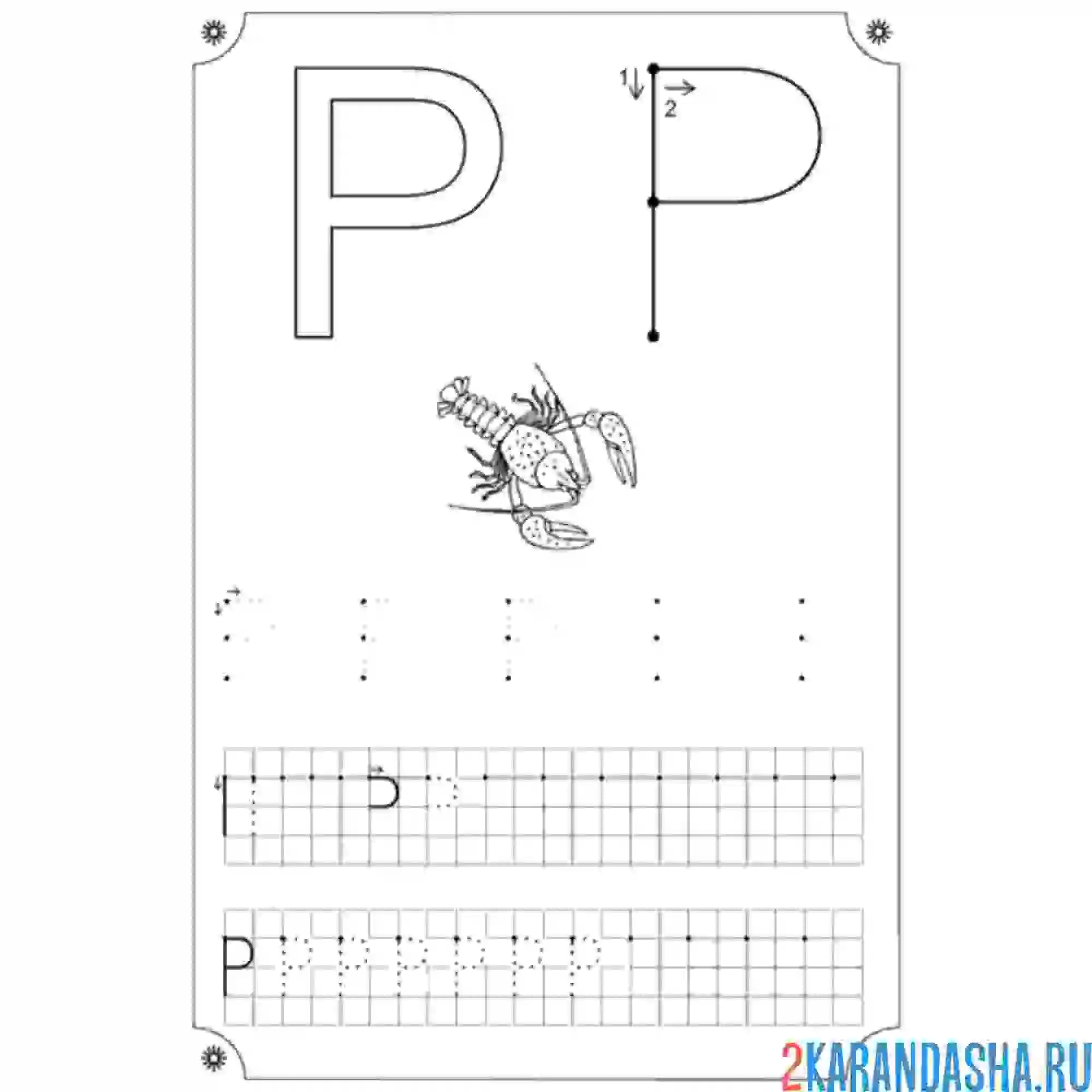 Раскраска пропись буква р по клеточкам