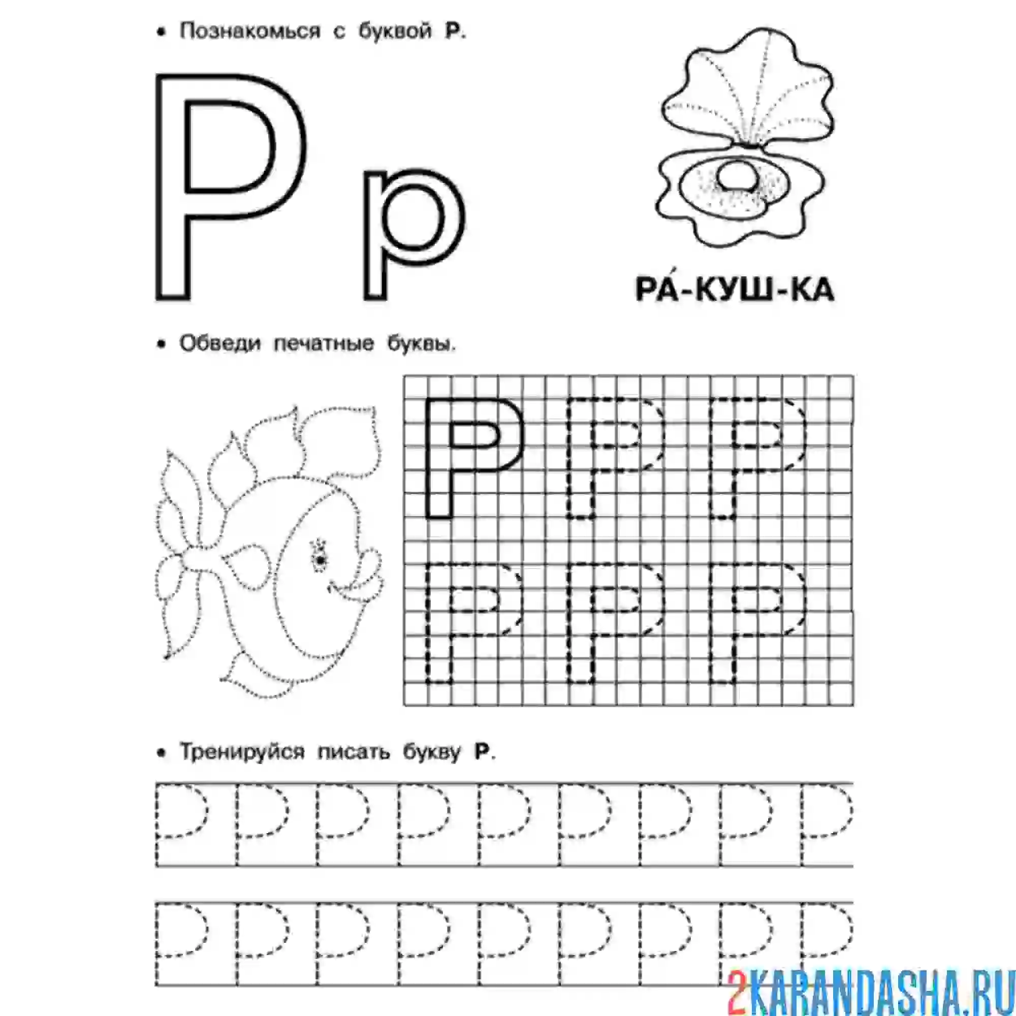 Раскраска обведи и напиши букву р