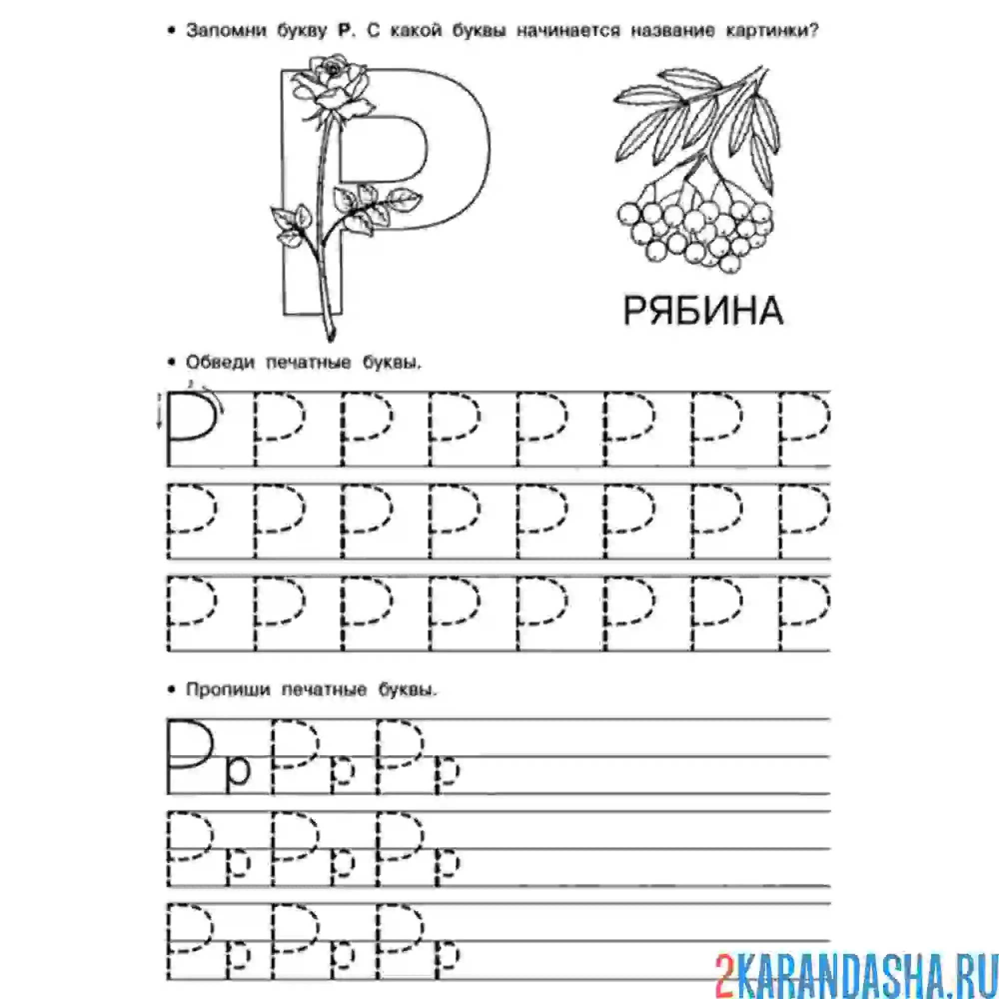Раскраска обведи и напиши сам букву р