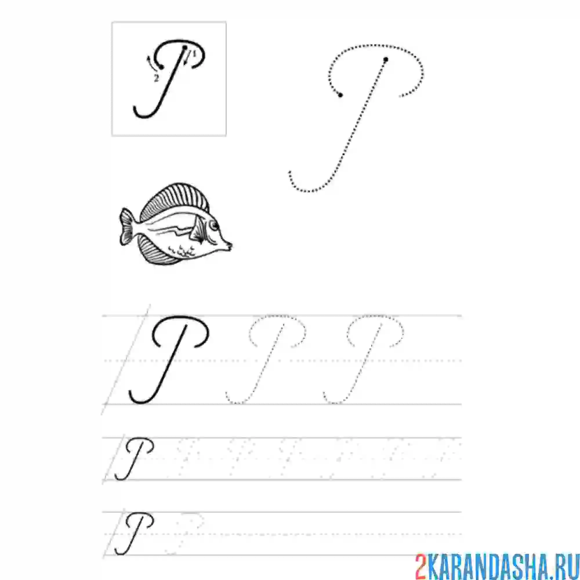 Раскраска пропись для школы прописная буква р