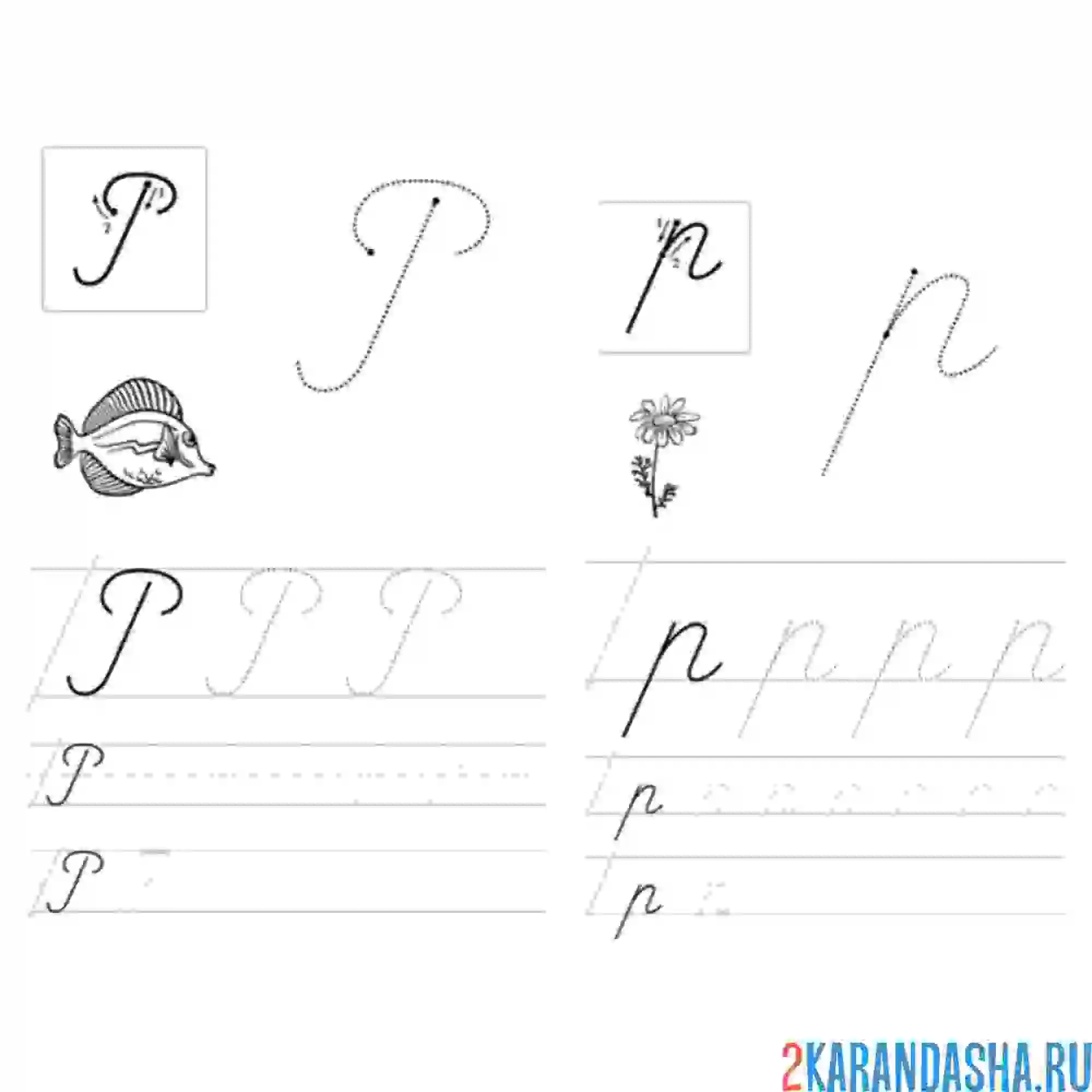 Раскраска пропись дошкольника буква р заглавная и строчная