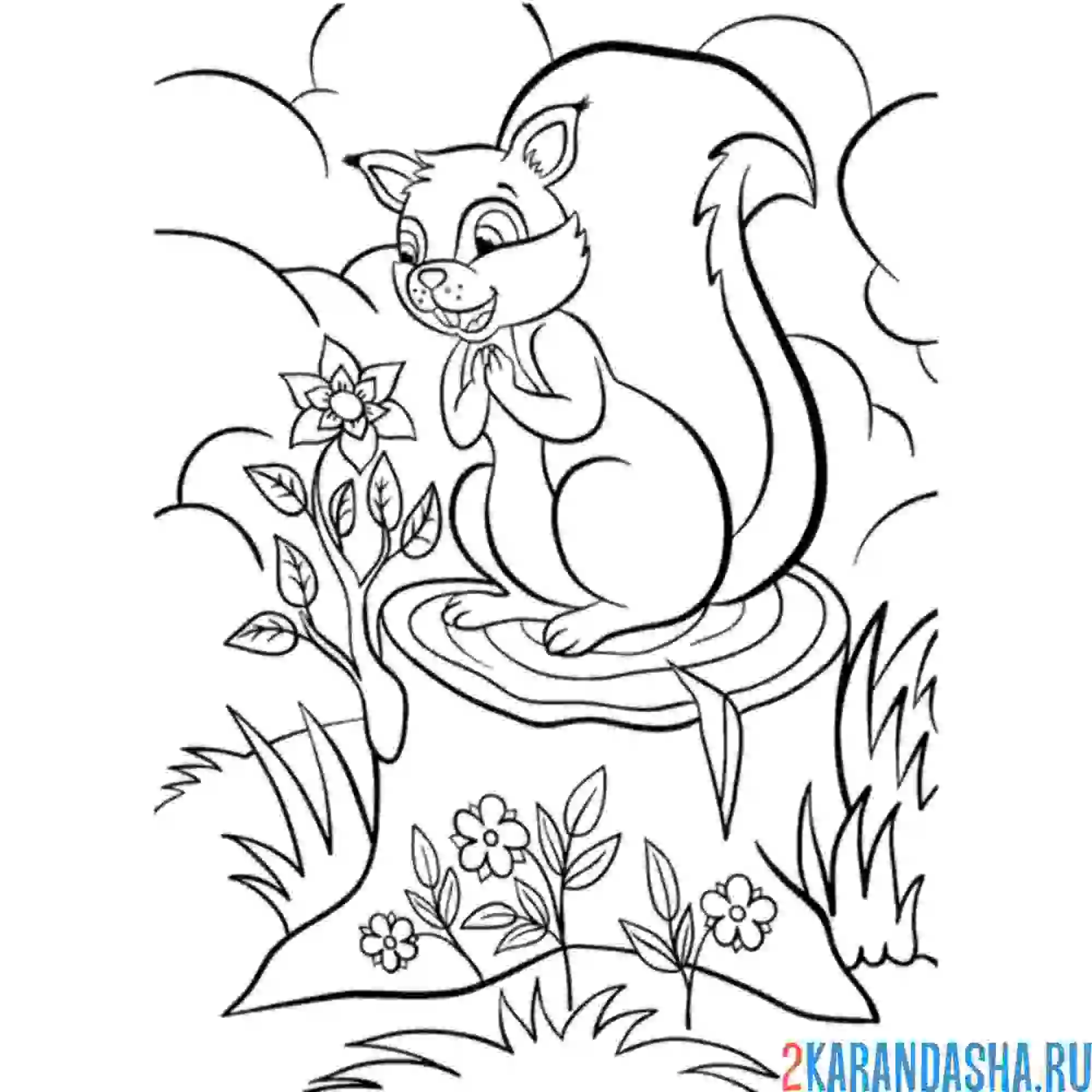 Раскраска белка в лесу на пне