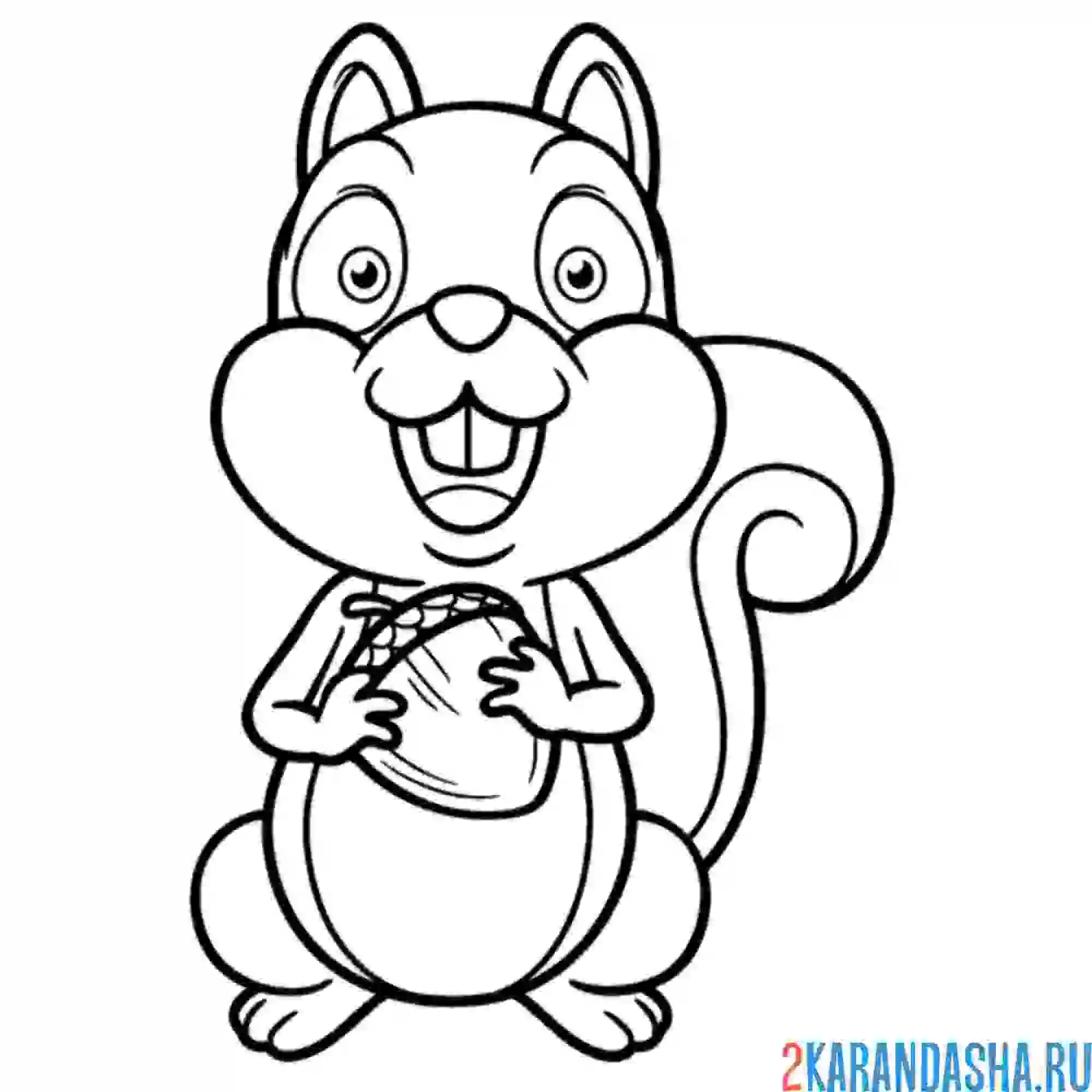 Раскраска смешной бельчонок