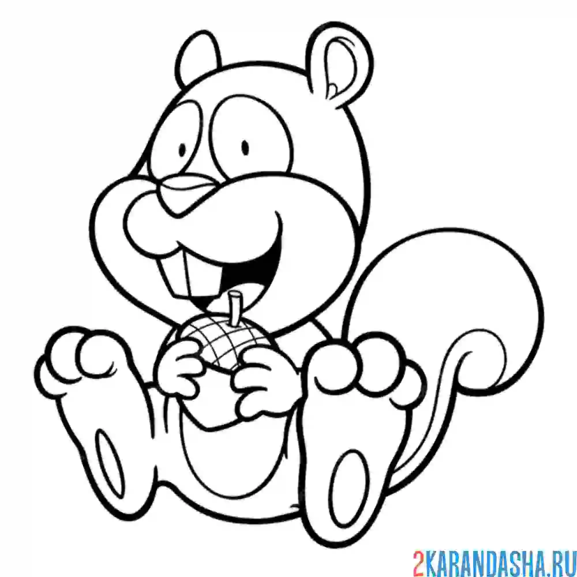 Раскраска смешная белка с орехом