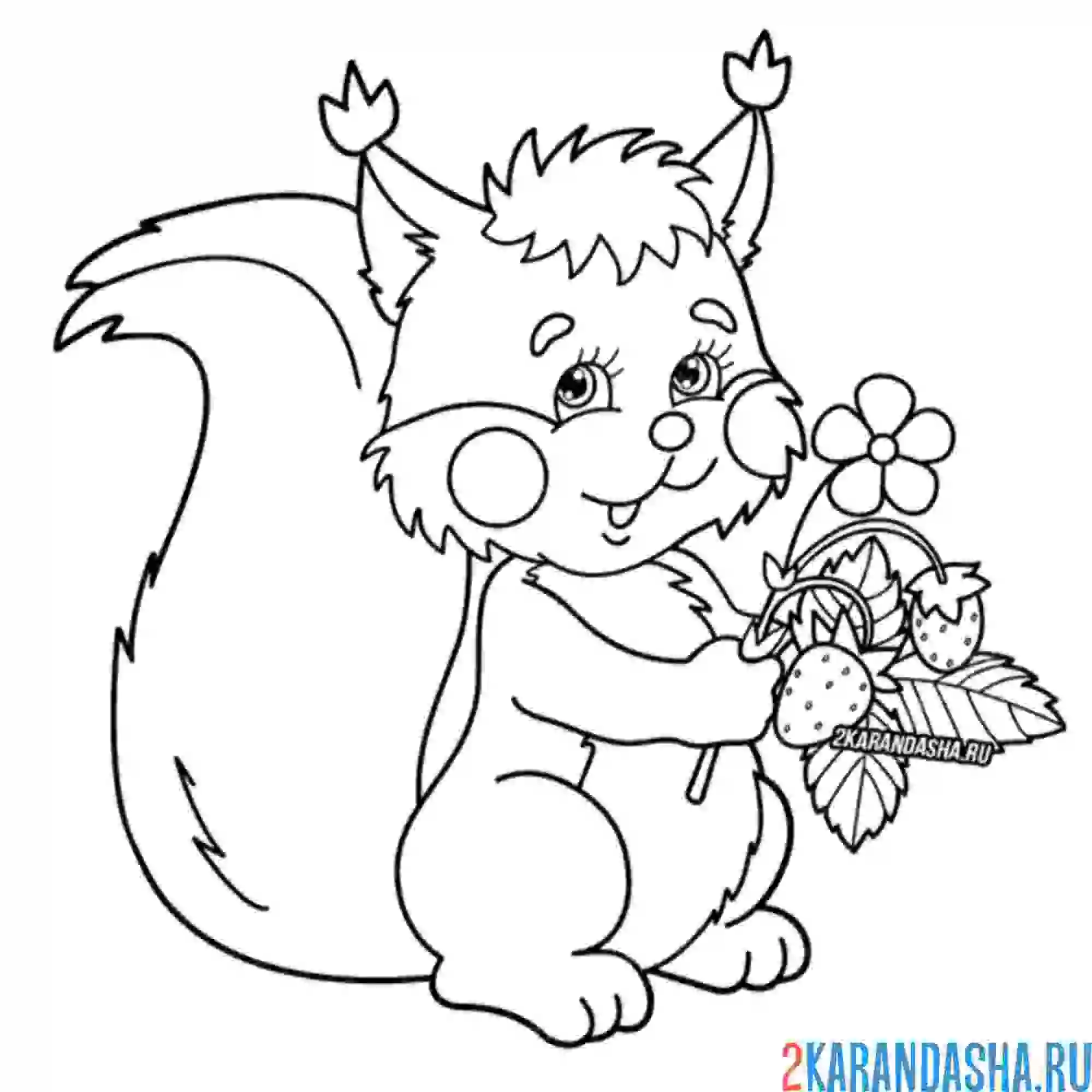 Раскраска белочка с цветами