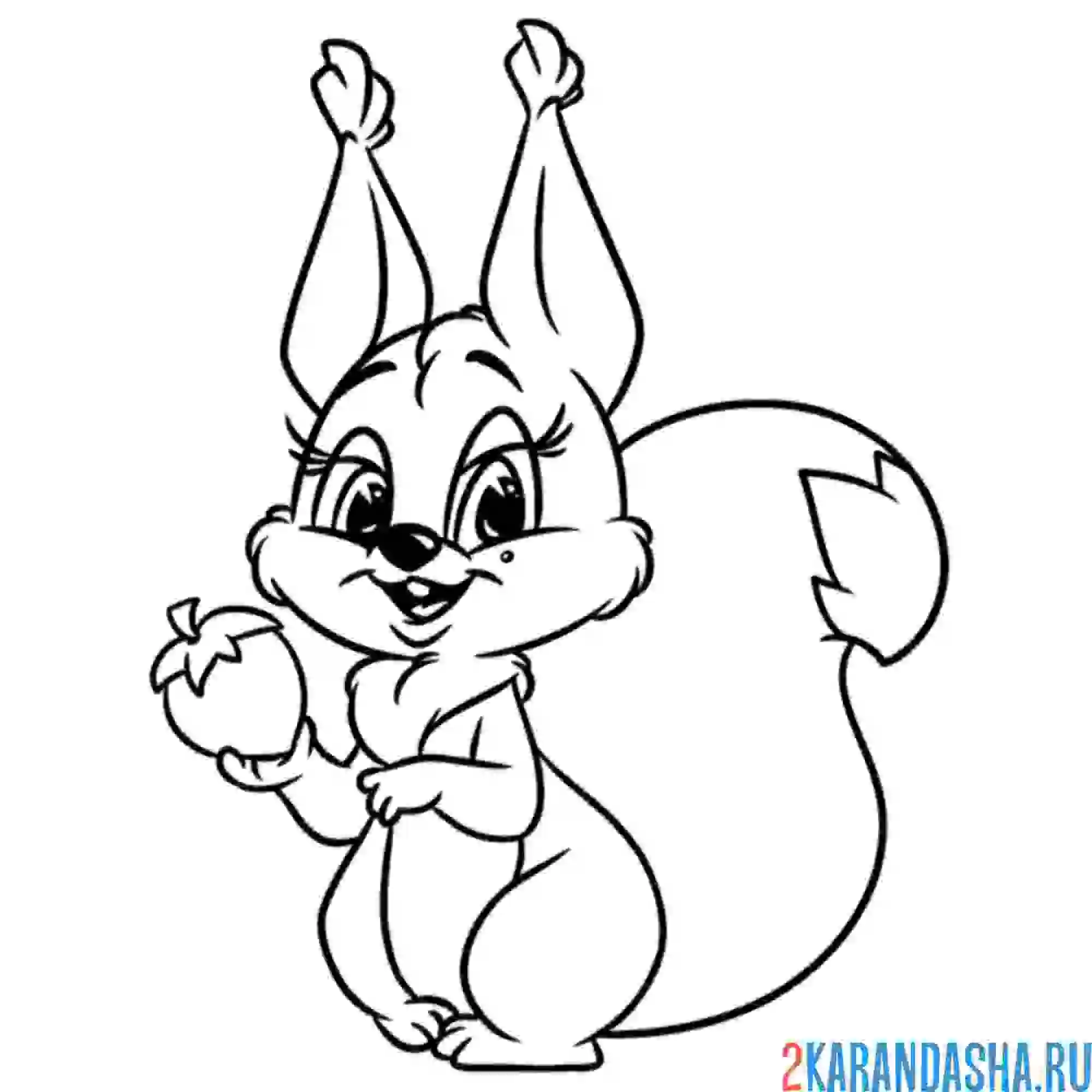 Раскраска белочка с пушистым хвостом