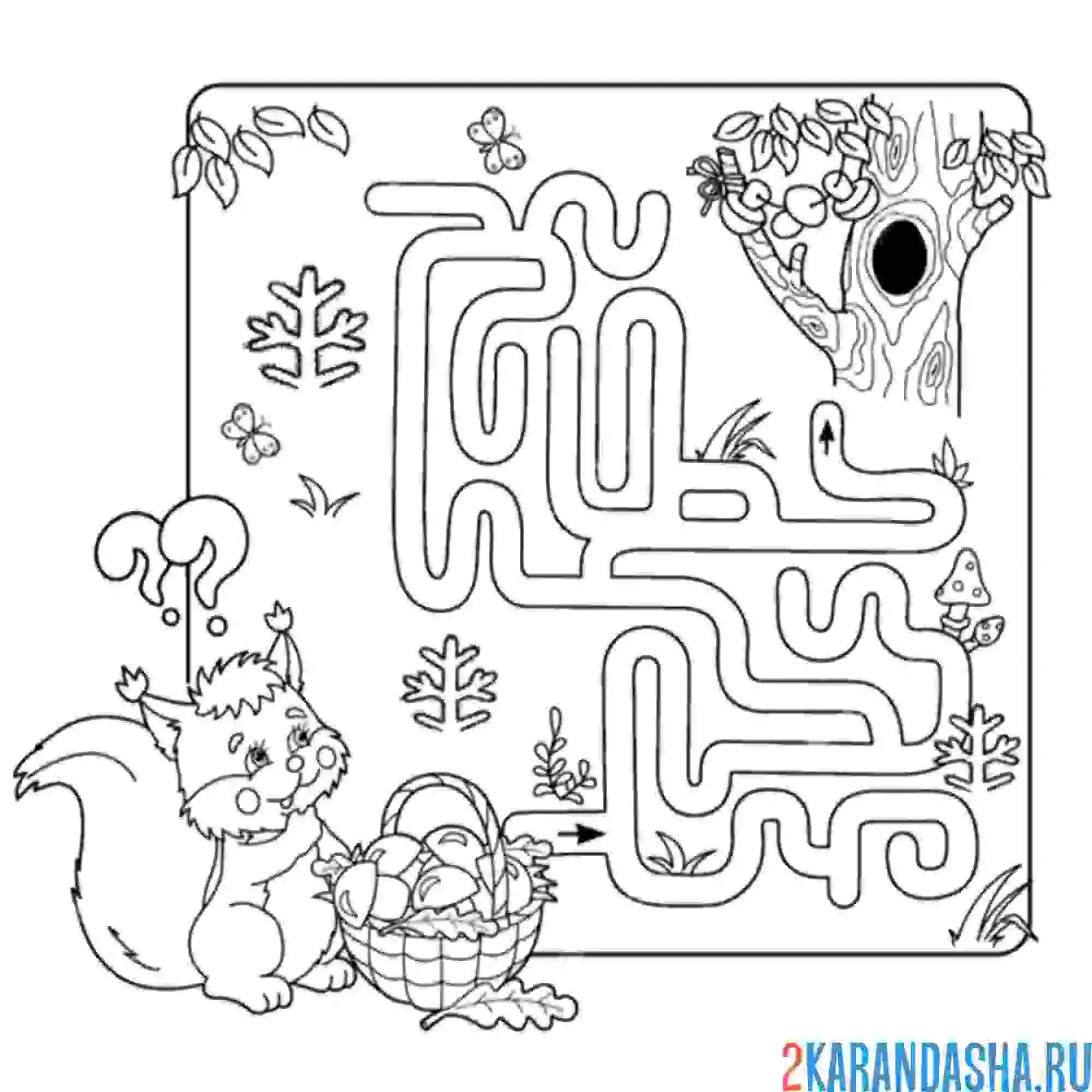 Раскраска лабиринт с белкой