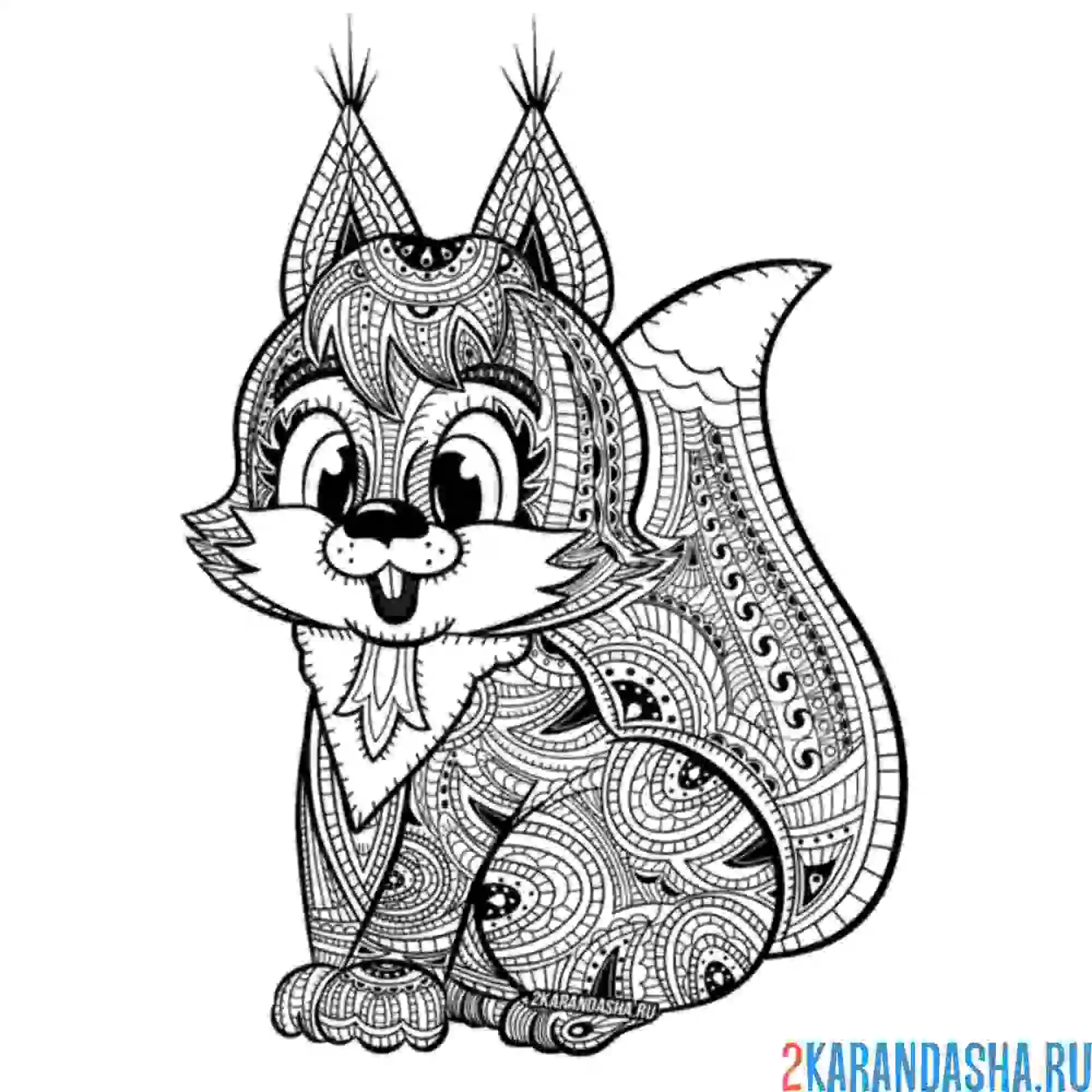 Раскраска белочка милашка