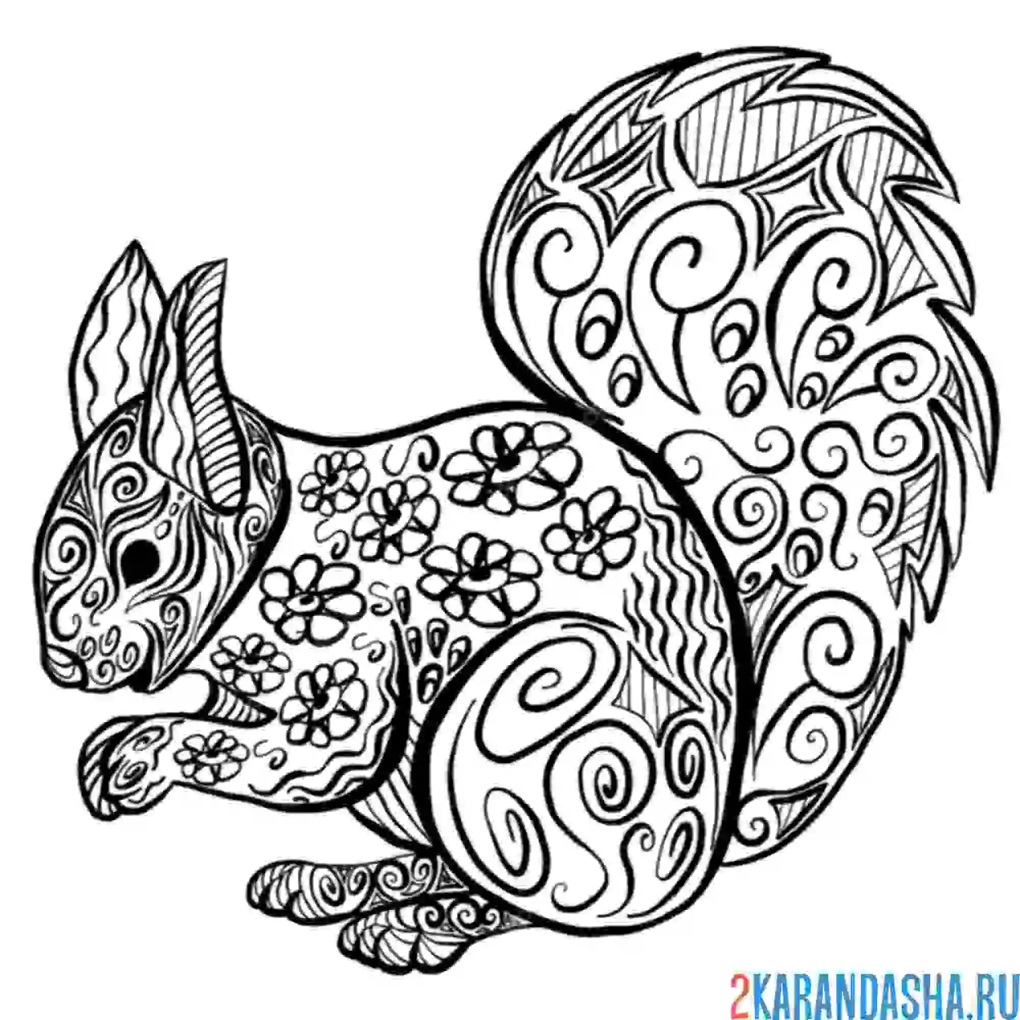 Раскраска белочка узоры