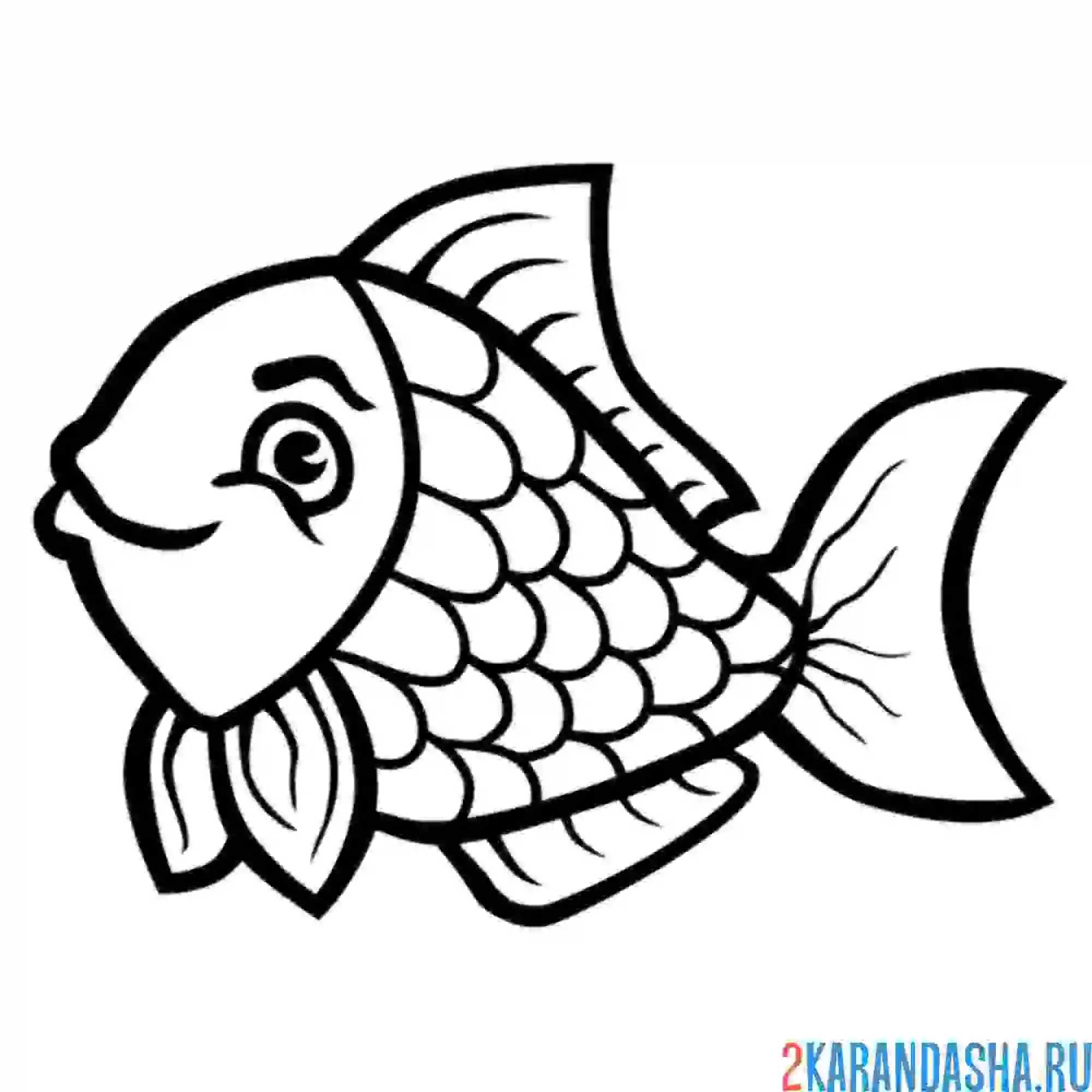 Раскраска улыбчивая рыбка
