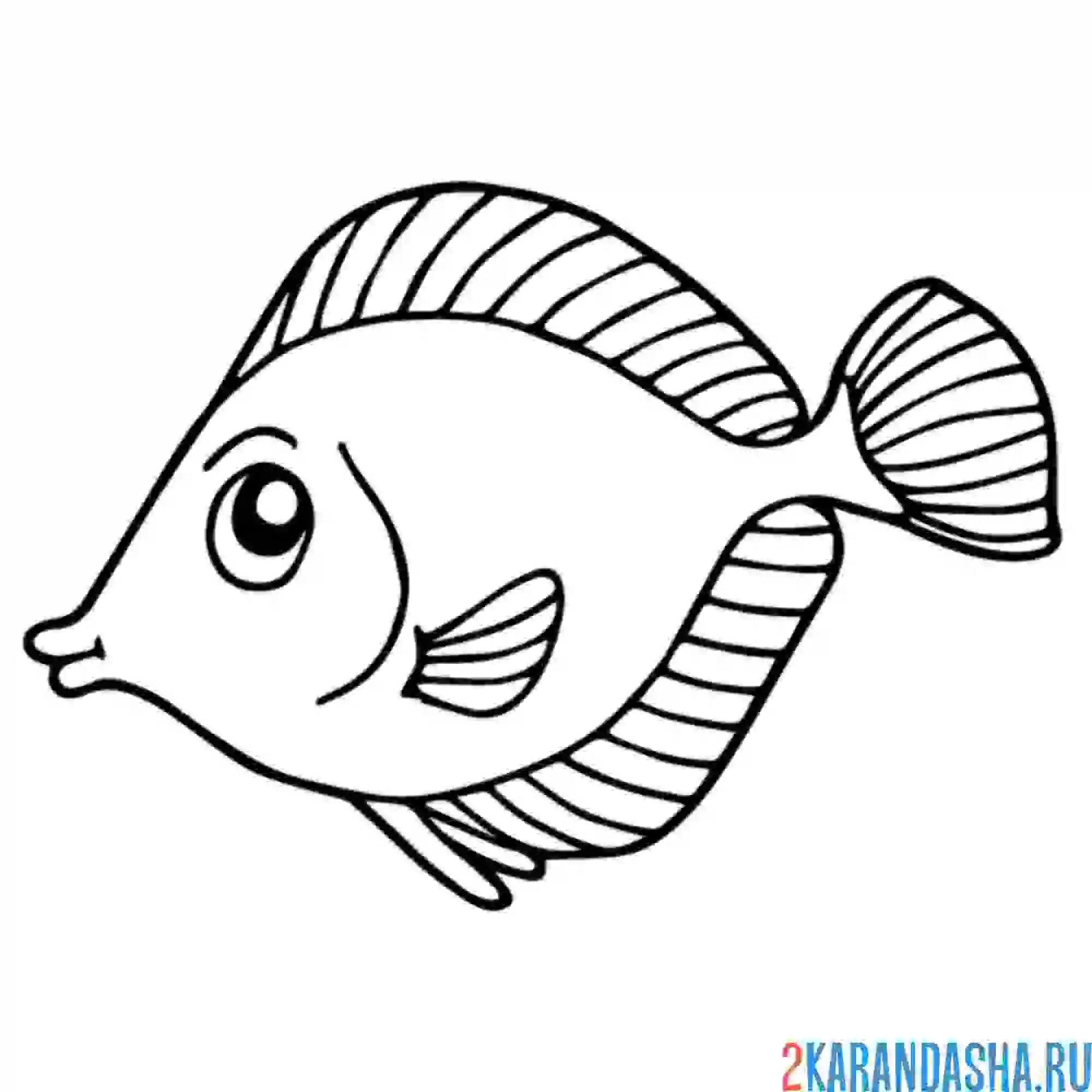 Раскраска рыбка для раскрашивания
