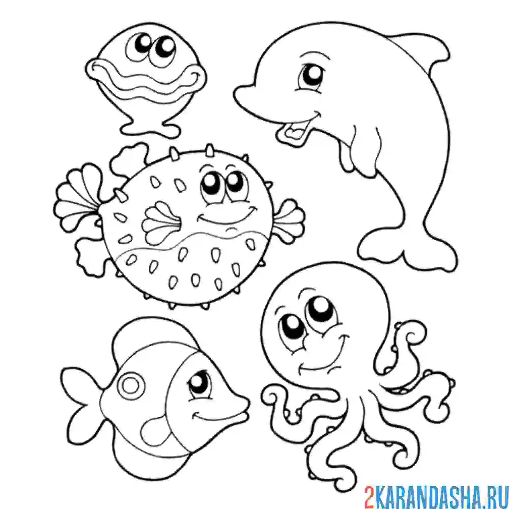 Раскраска назови морских обитателей