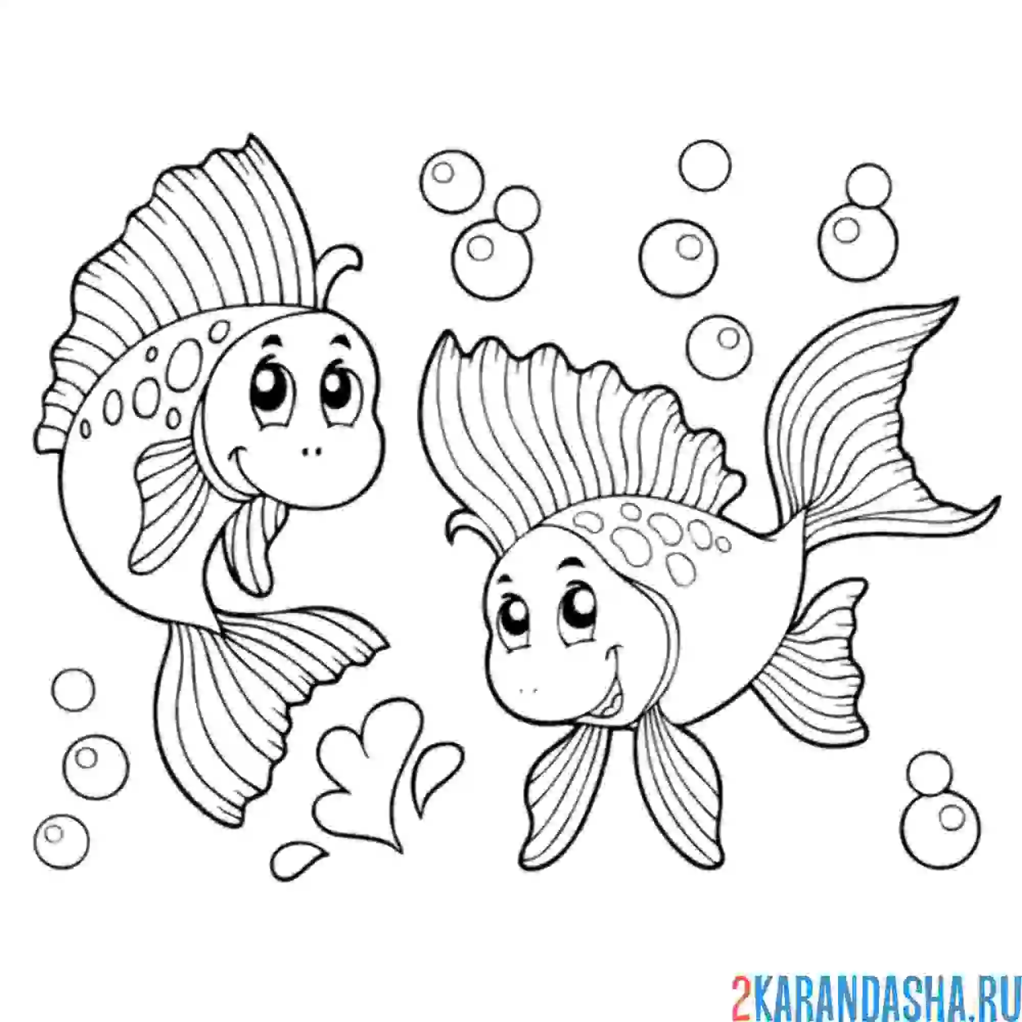 Раскраска морские рыбы с пузырями