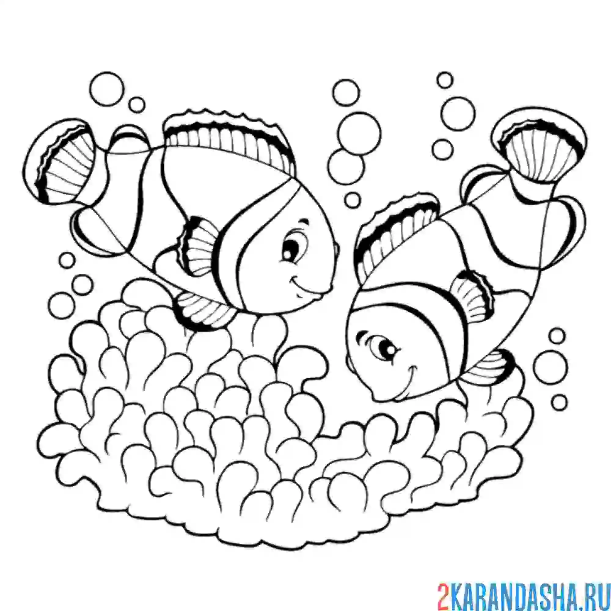 Раскраска две рыбки немо