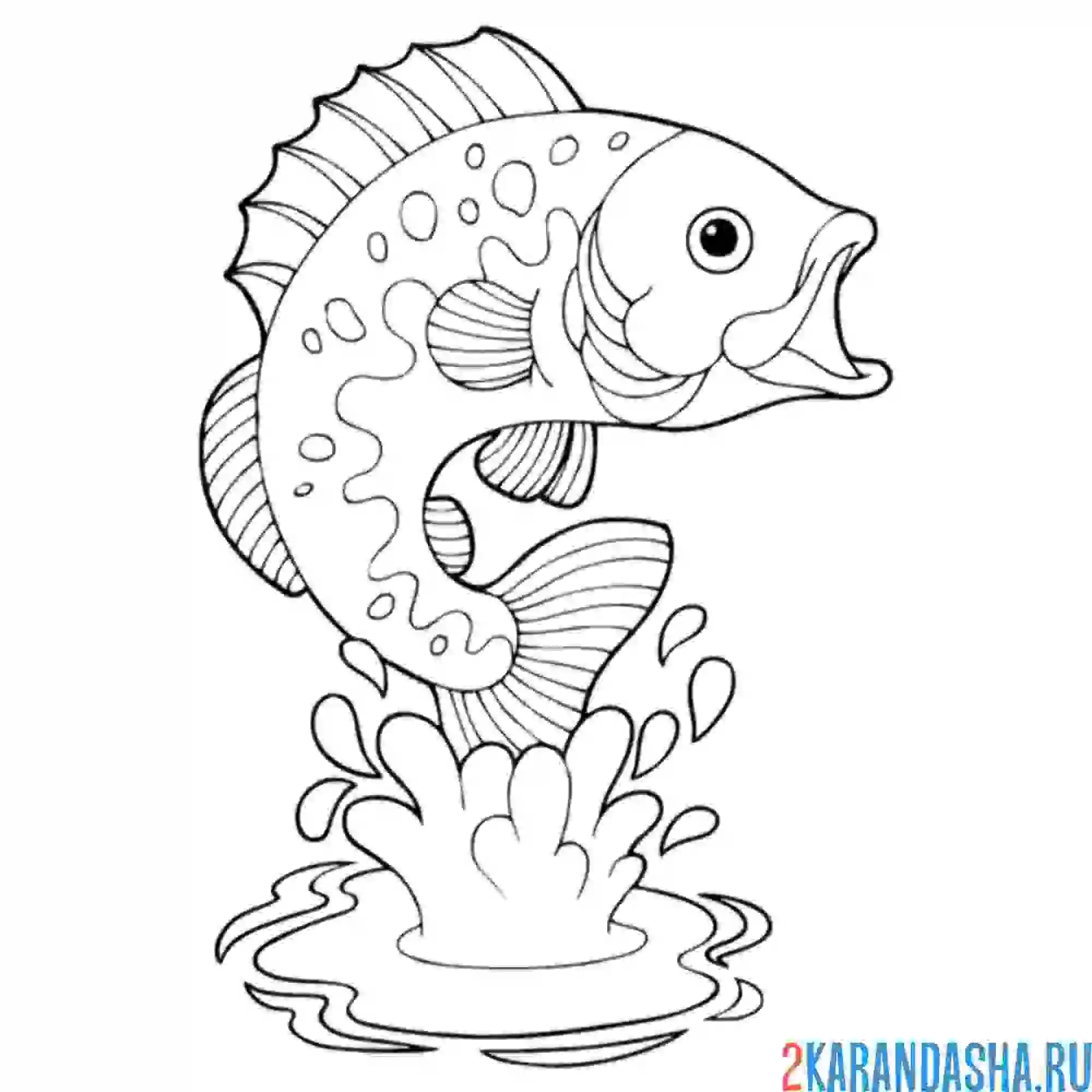 Раскраска эту рыбу можно поймать