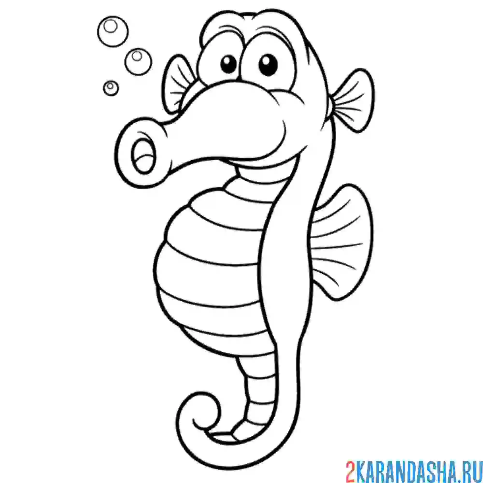 Раскраска милый морской конек