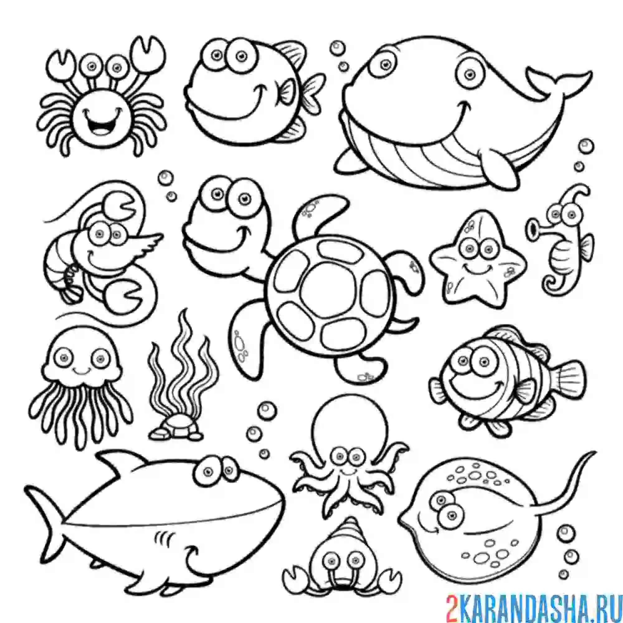 Раскраска много разных морских обитателей