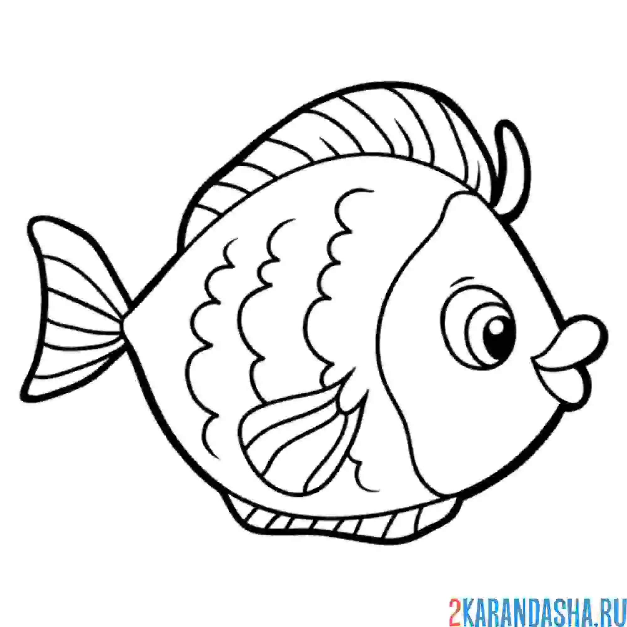 Раскраска рыбка для малышей в детский сад