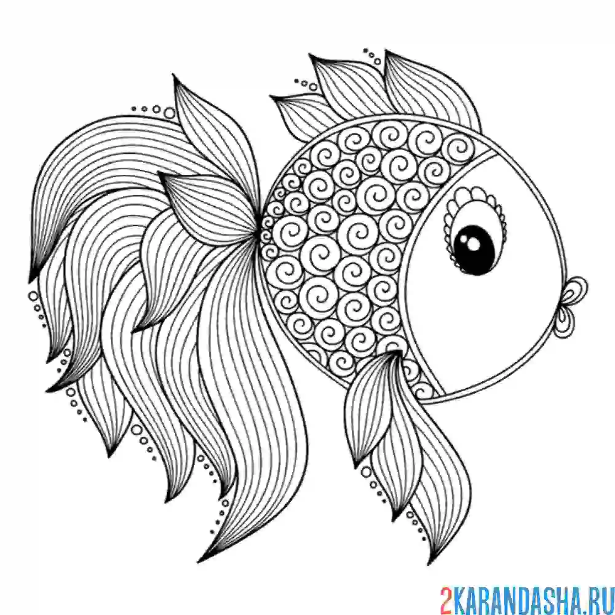 Раскраска золотая рыбка антистресс