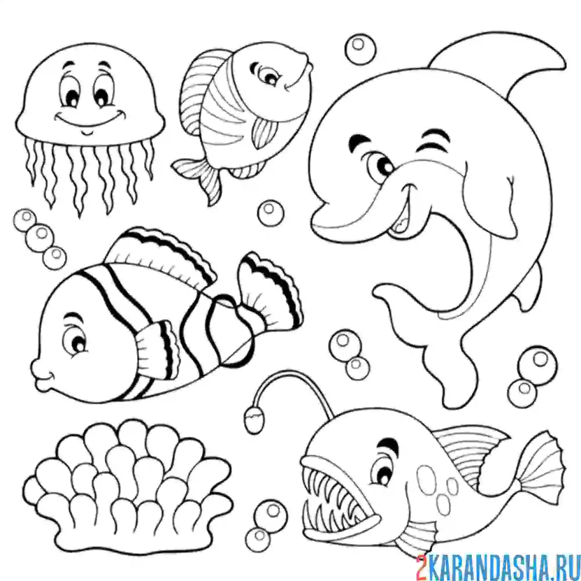 Раскраска рыбы и дельфин