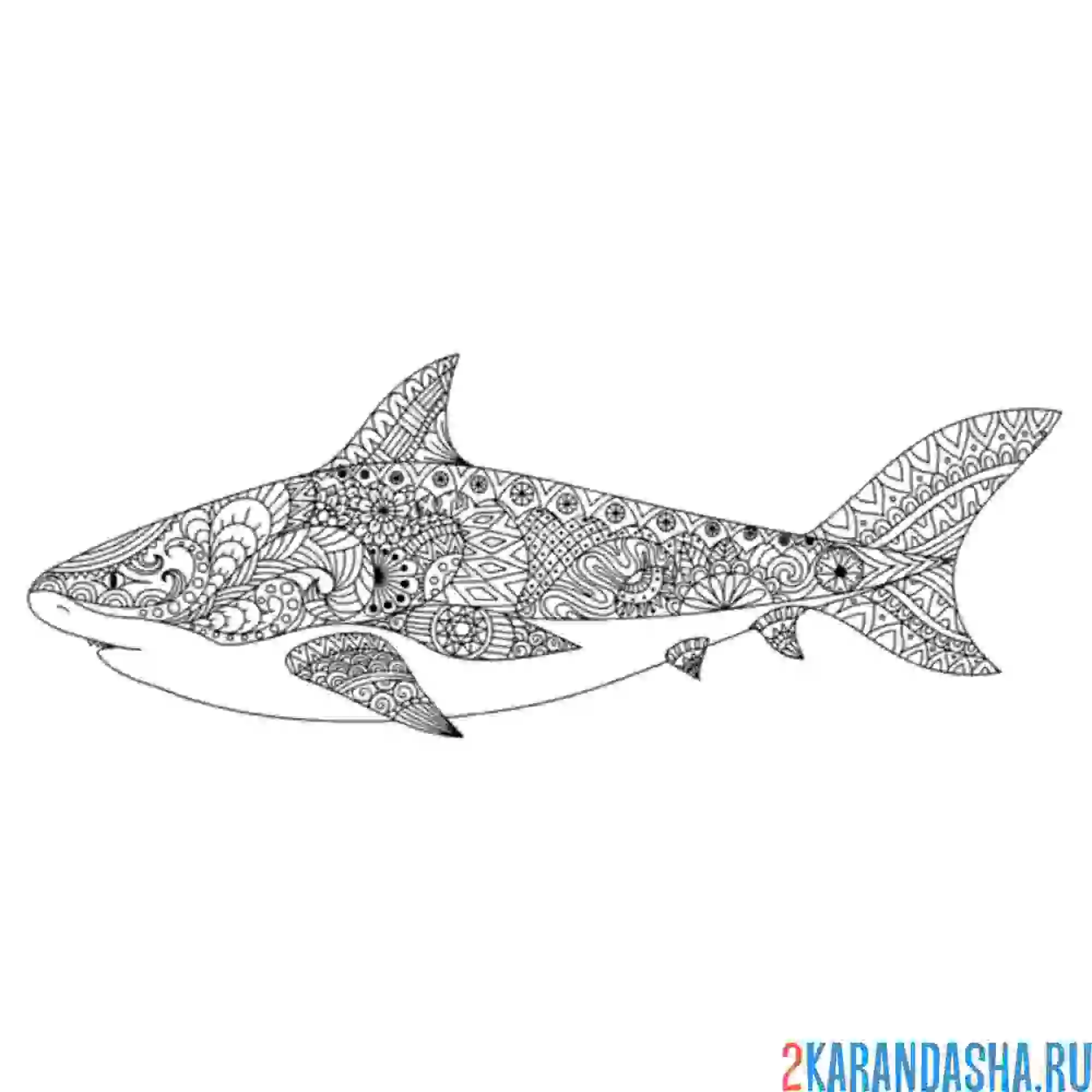 Раскраска акула антистресс