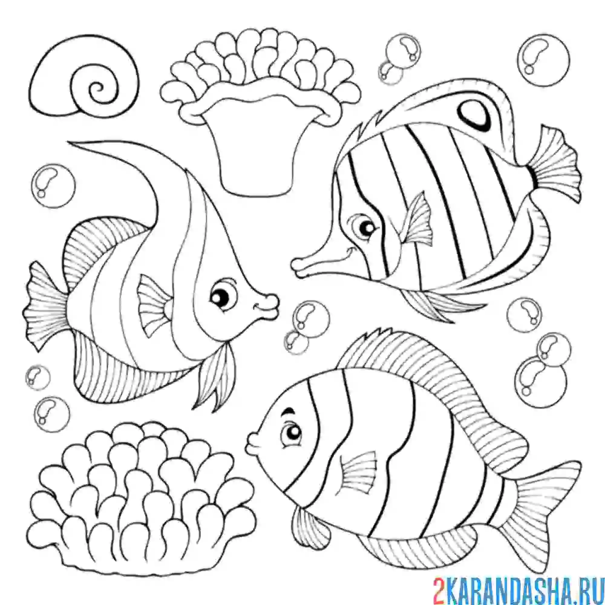 Раскраска три разных рыбы